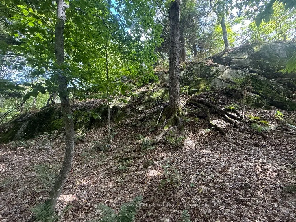 Lot 85 Brennan Circle