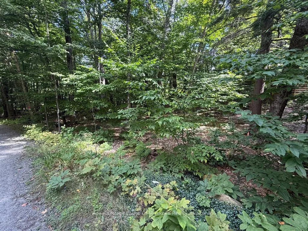 Lot 85 Brennan Circle