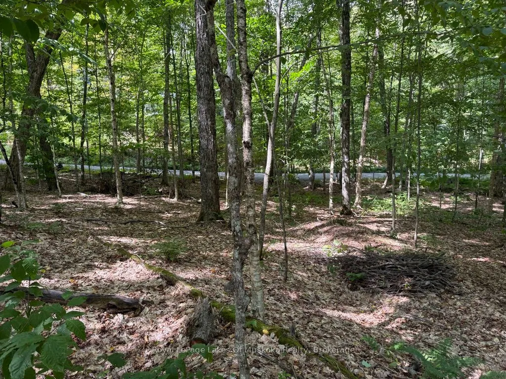 Lot 85 Brennan Circle