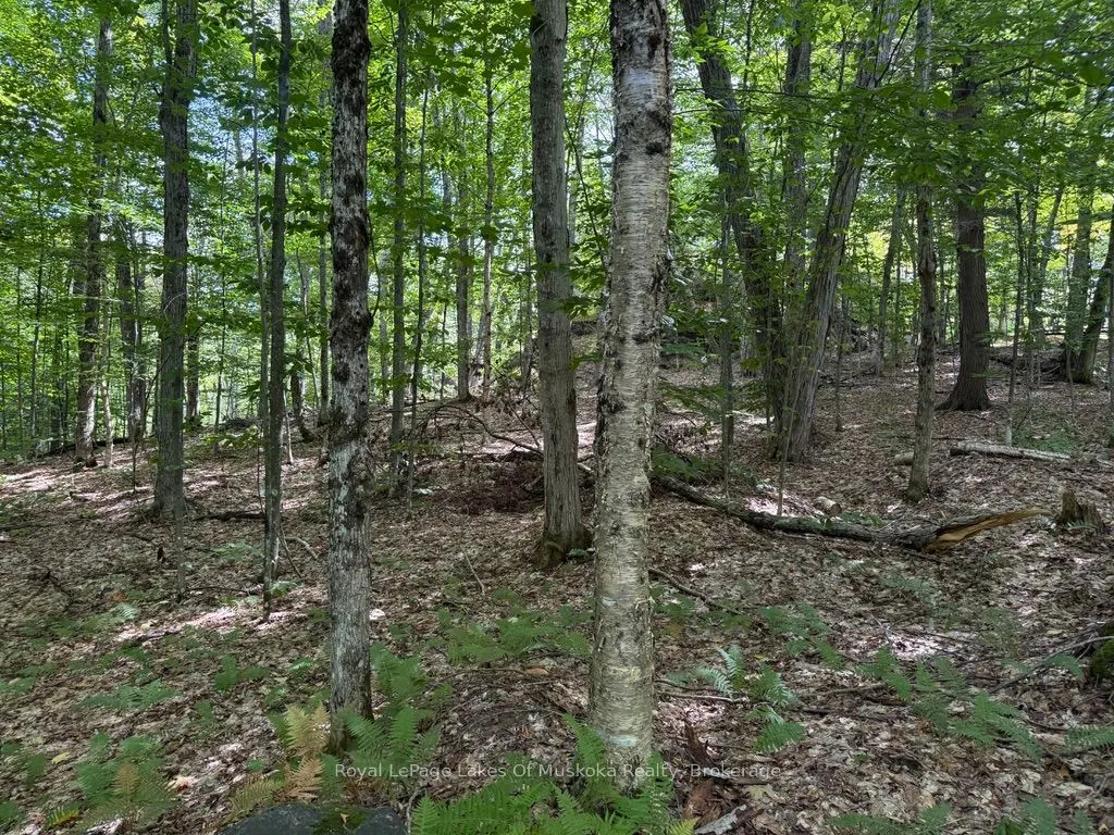 Lot 85 Brennan Circle