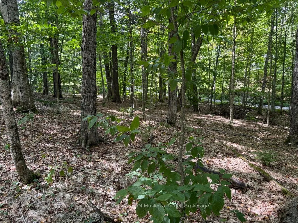 Lot 85 Brennan Circle