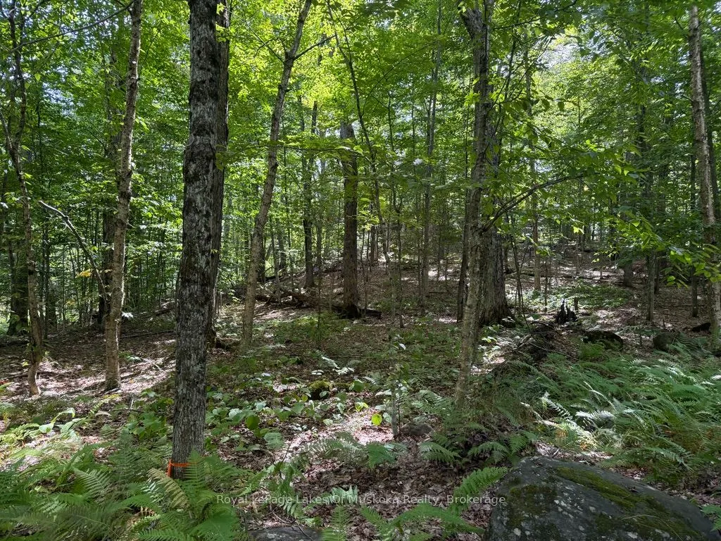 Lot 85 Brennan Circle