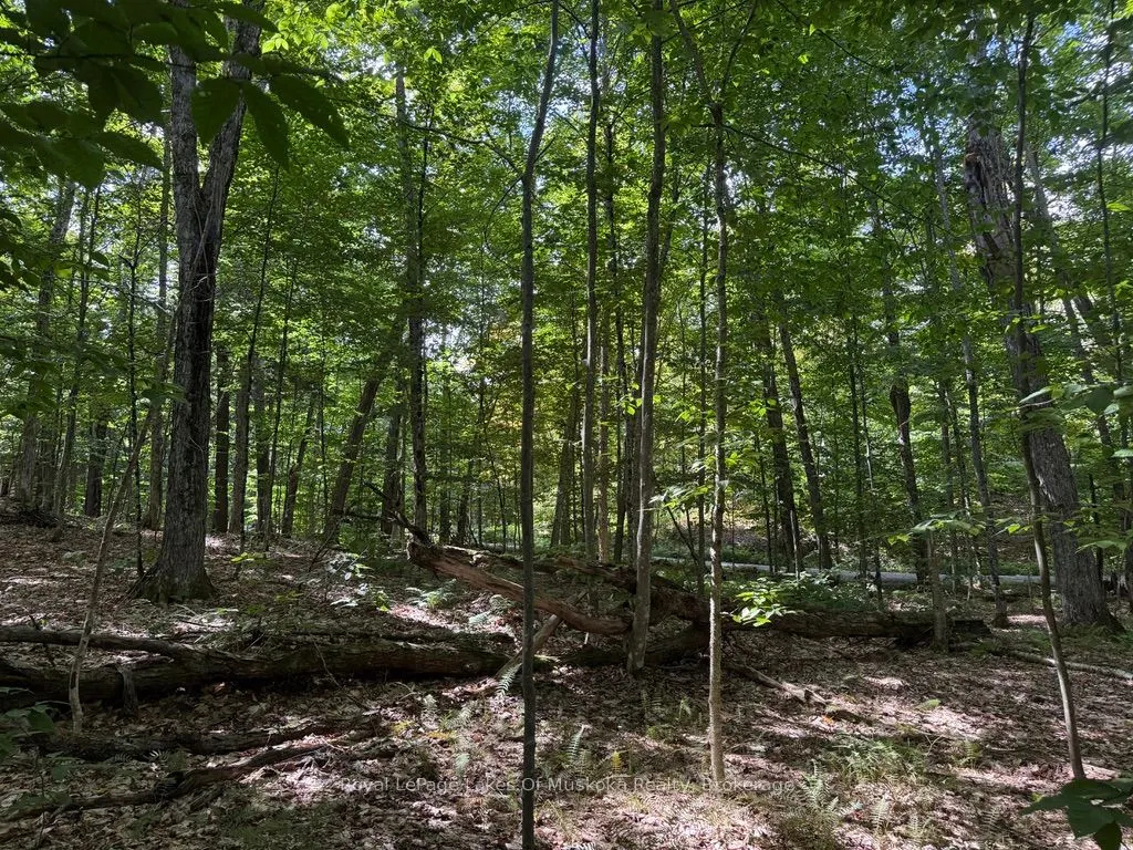 Lot 85 Brennan Circle