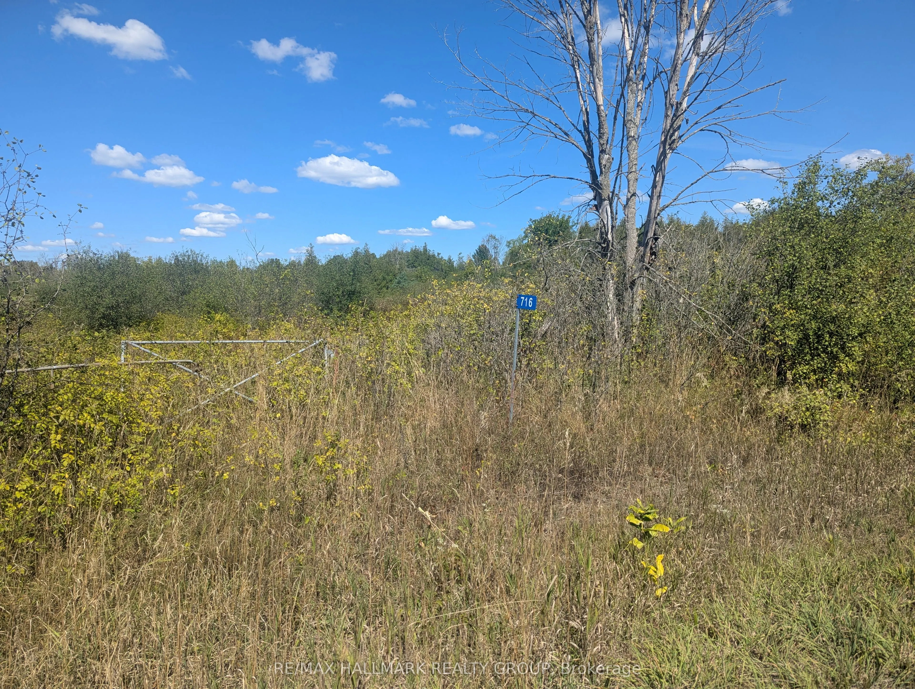 716 William Campbell Road