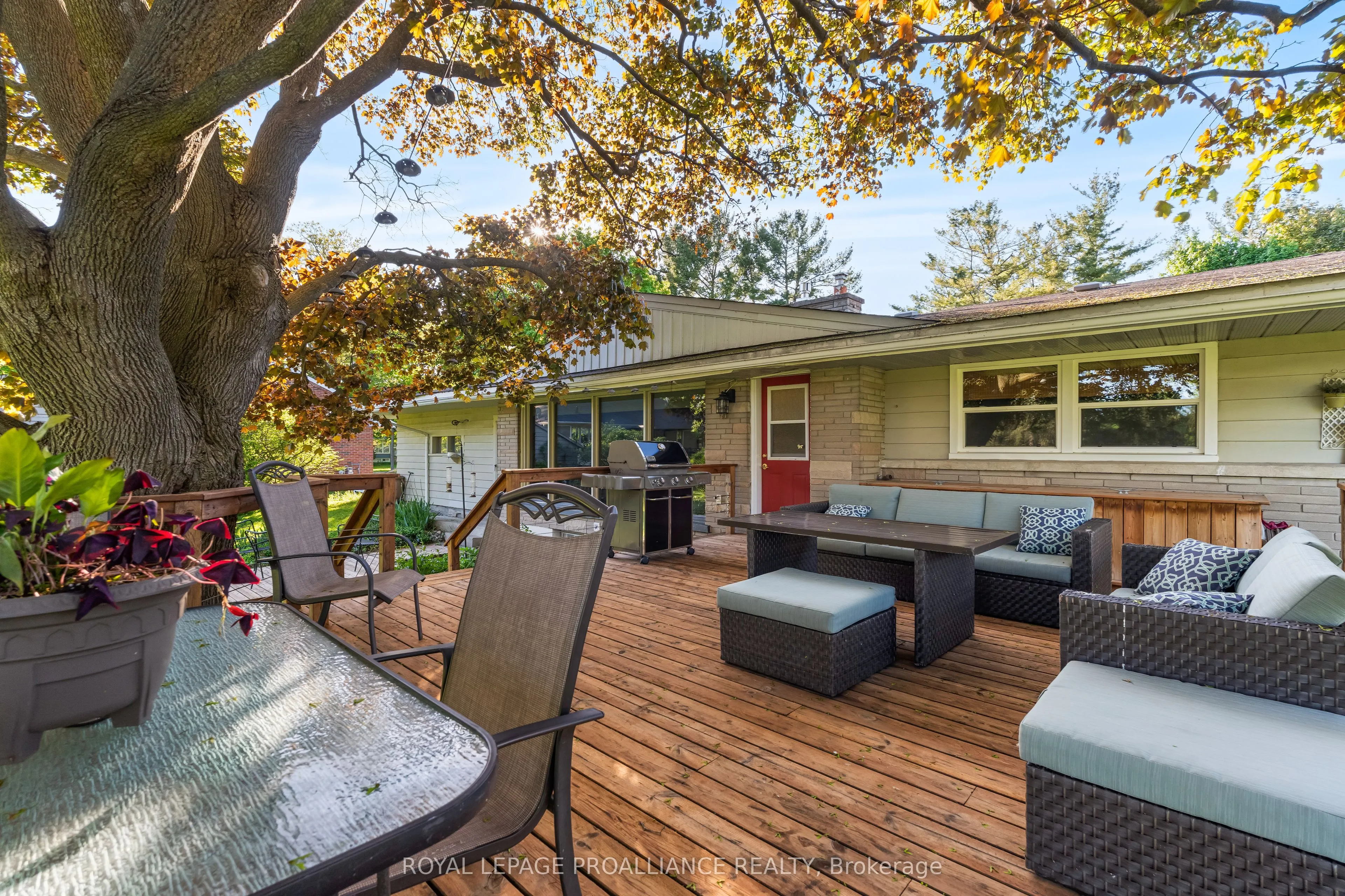 7 Hutton Drive