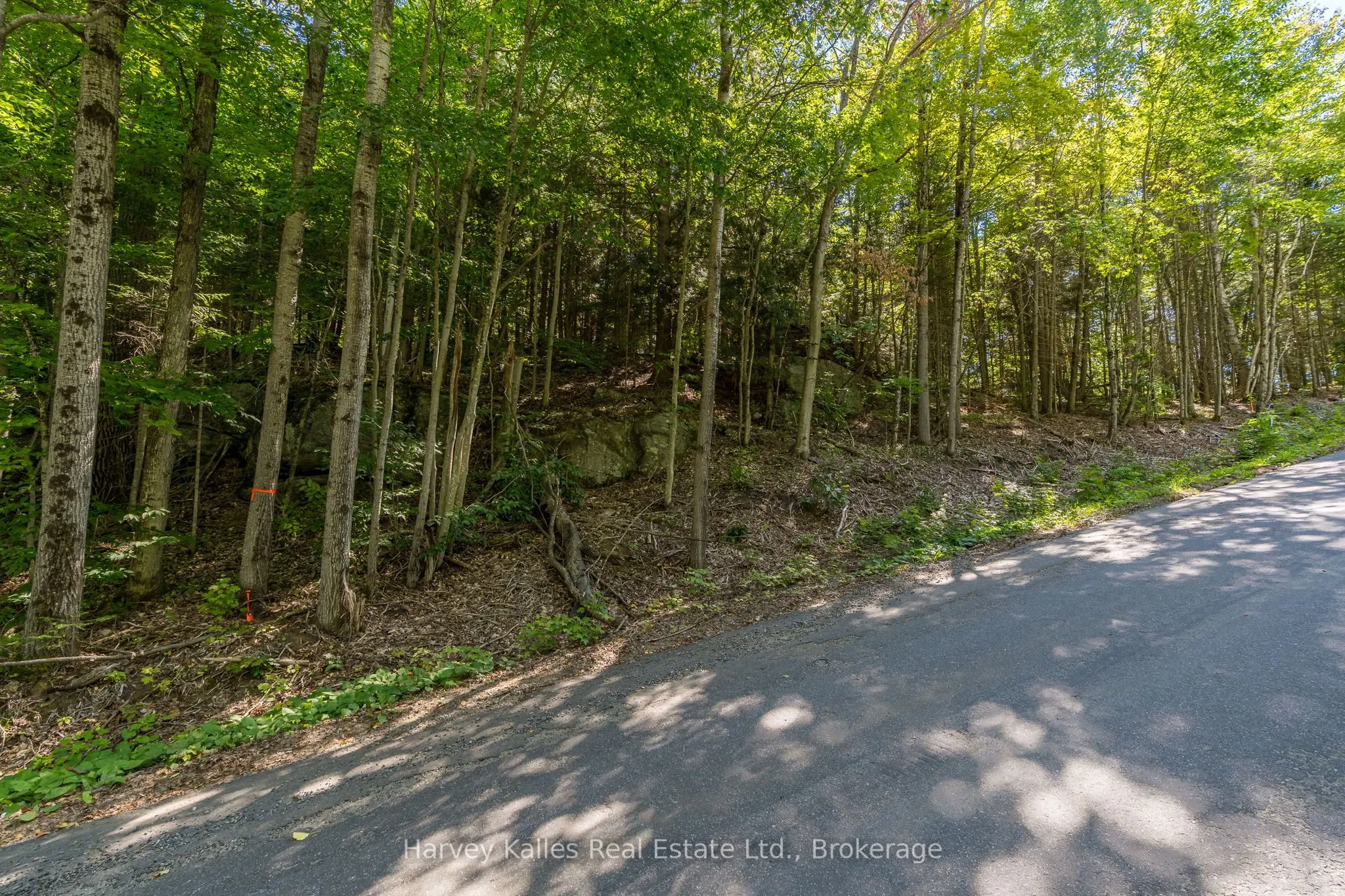 0 East Walker Lake Road