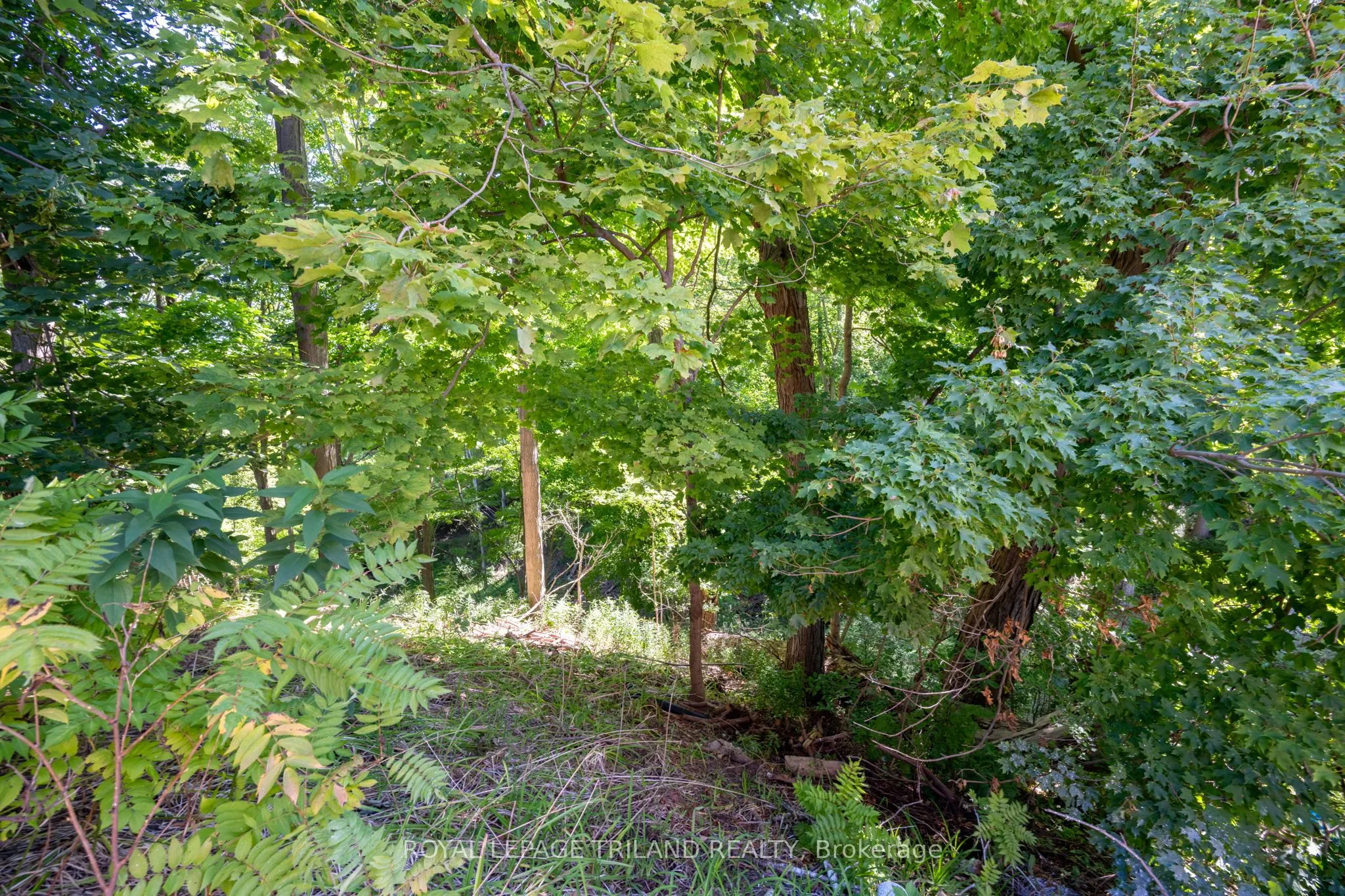403 TOWER HEIGHTS Drive