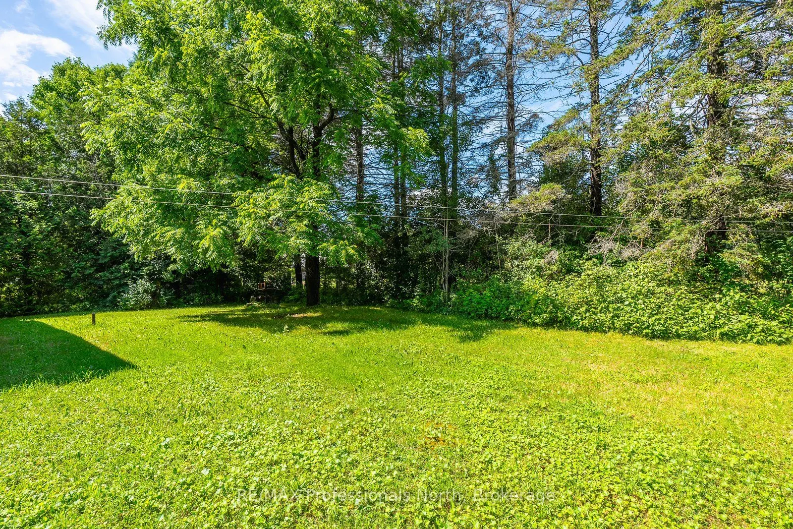 2319 Loop Road