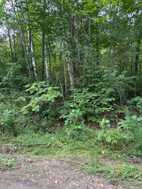 755 Concession 4 & 5 Road E