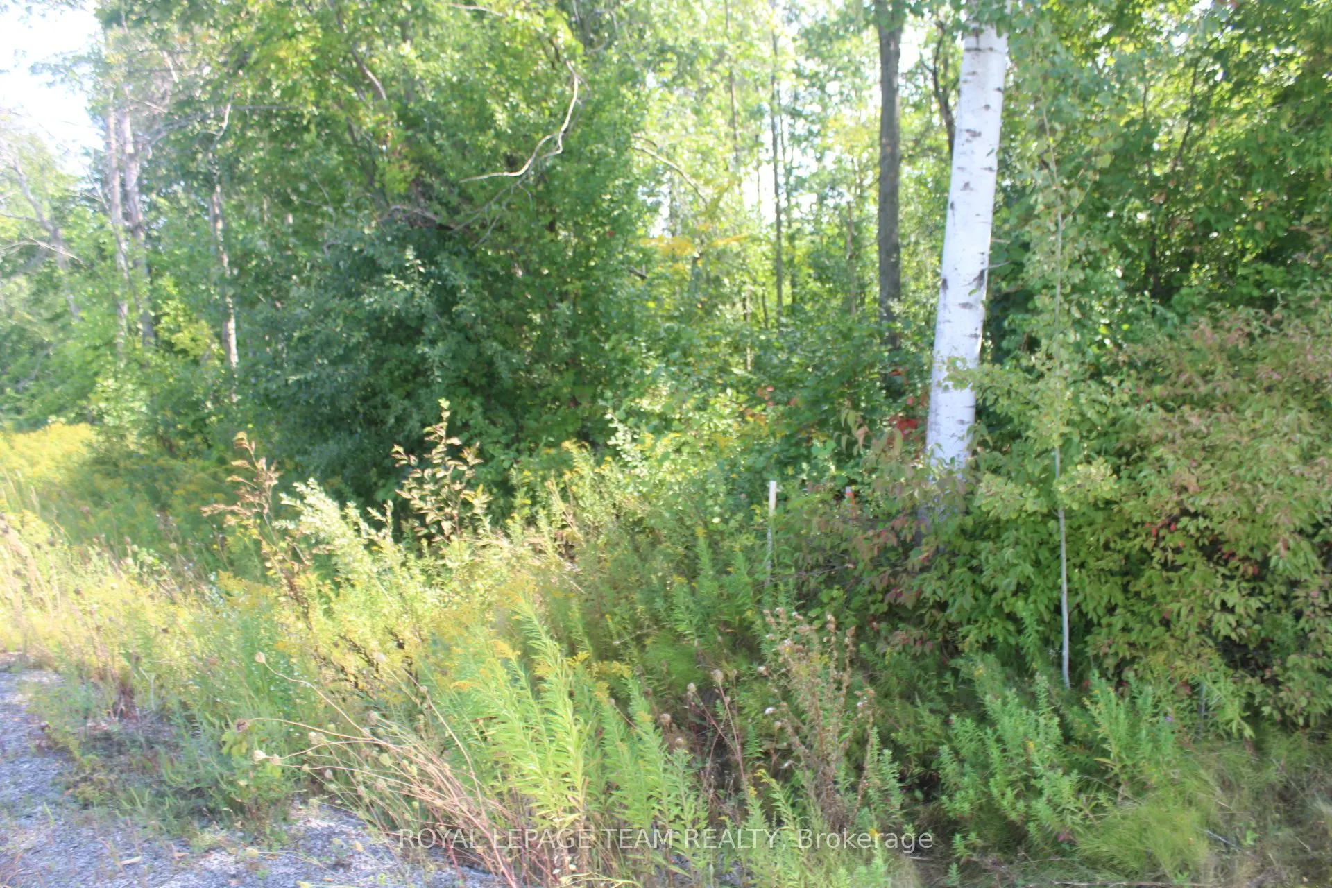 00 Maurice Street
