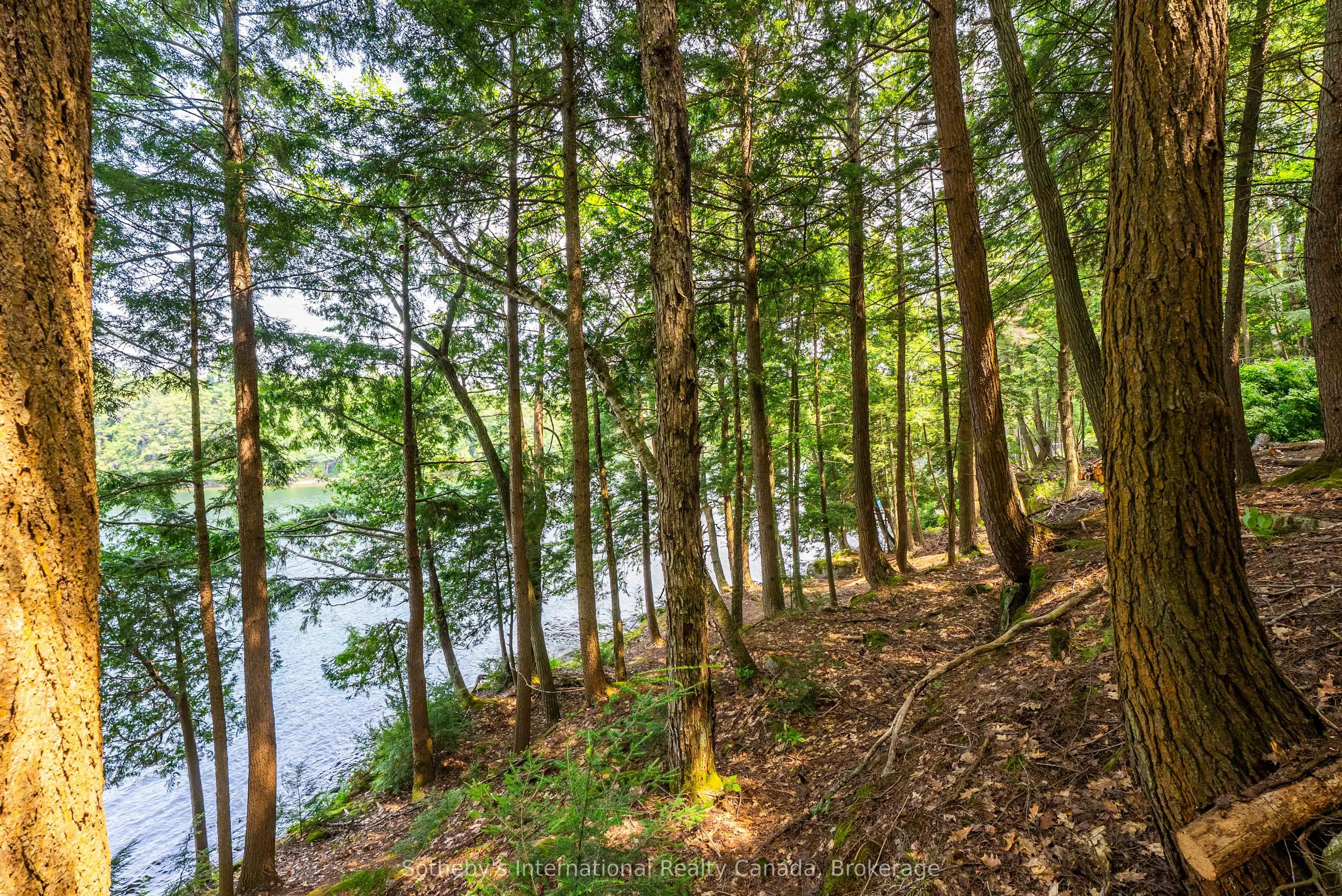 364 STANLEY HOUSE Road, #LOT C