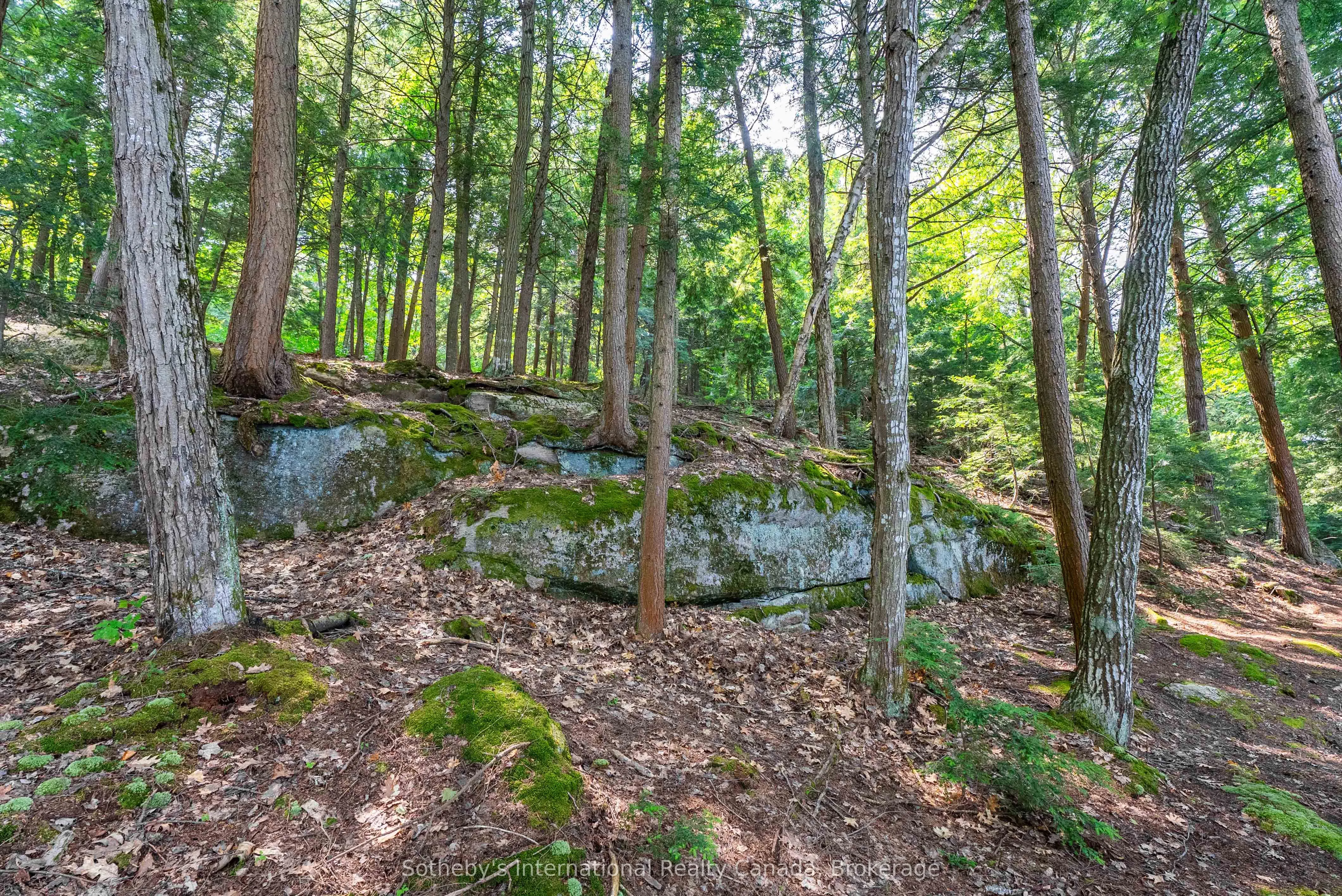 364 STANLEY HOUSE Road, #LOT C