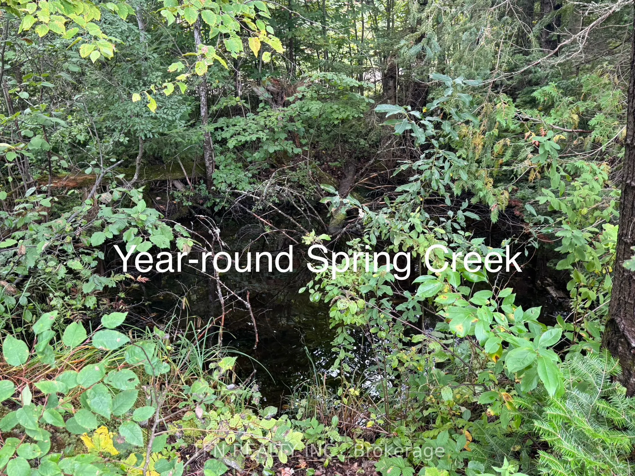 110 Machar Strong Boundary Road W