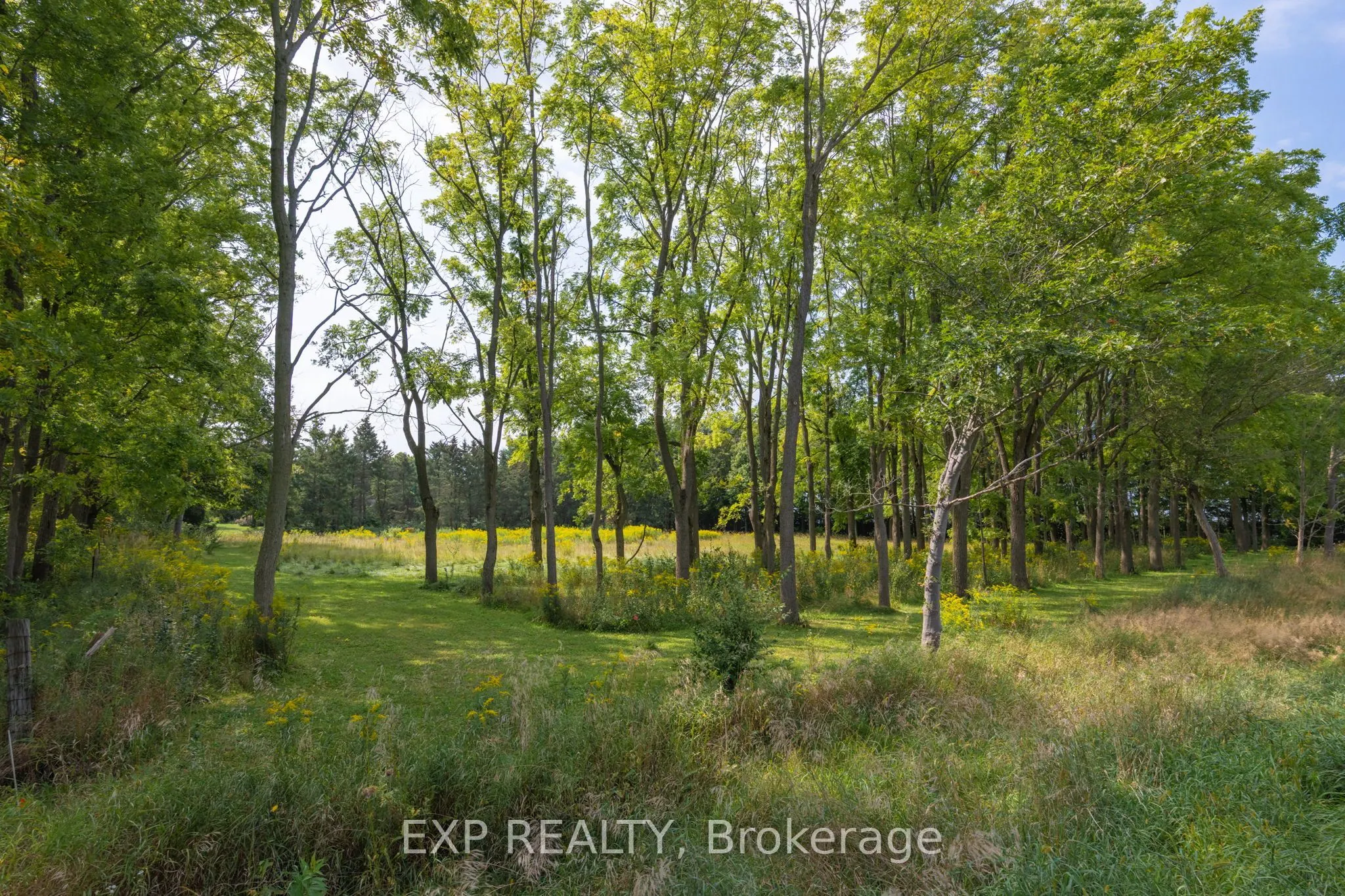 8101 Decker Drive