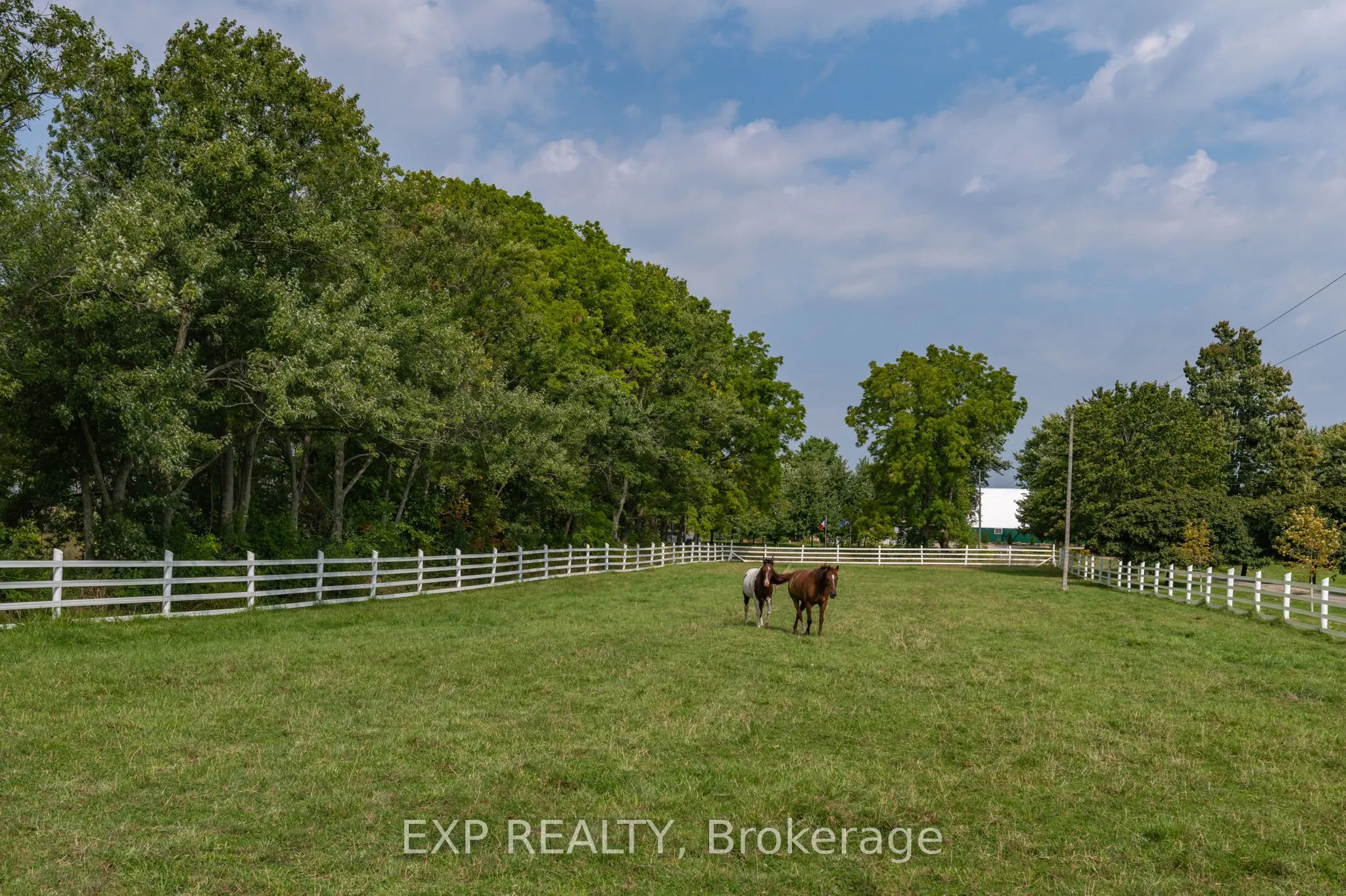 8101 Decker Drive