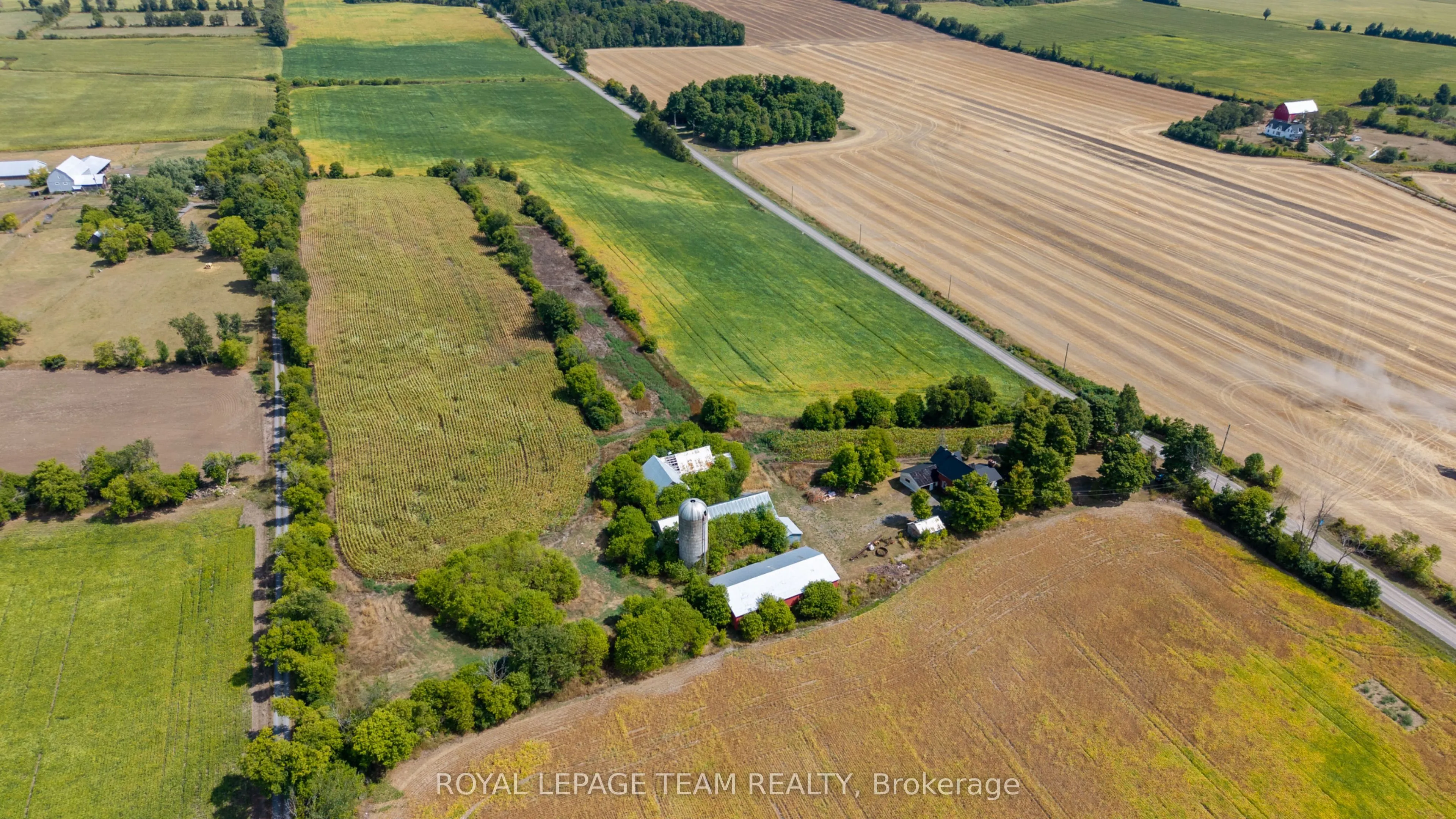 2307 Carsonby Road W