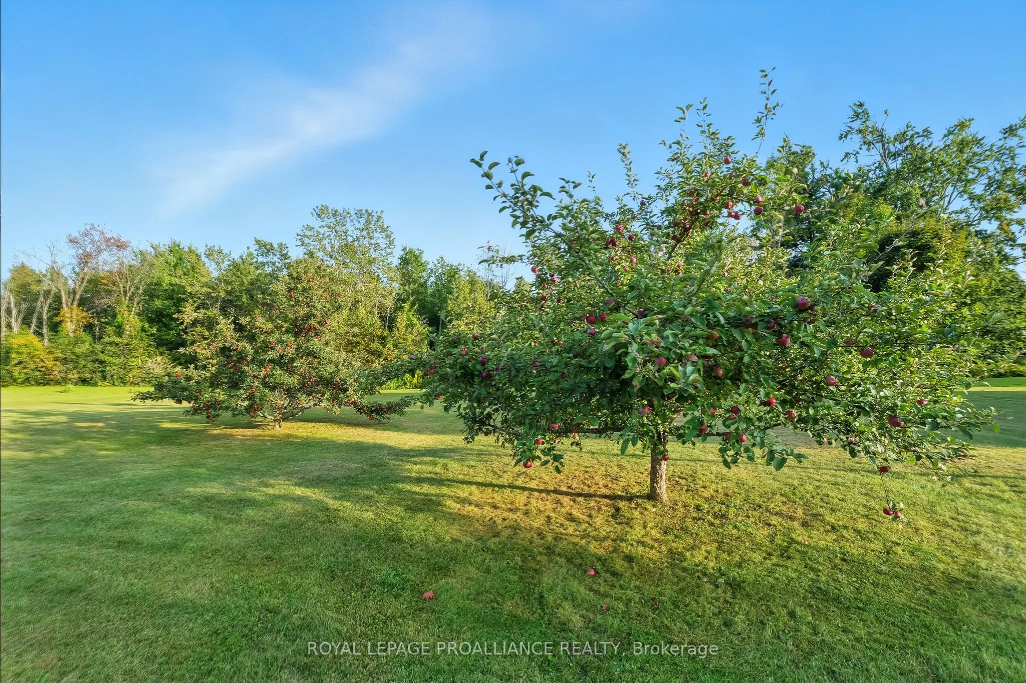 13799 County 21 Road