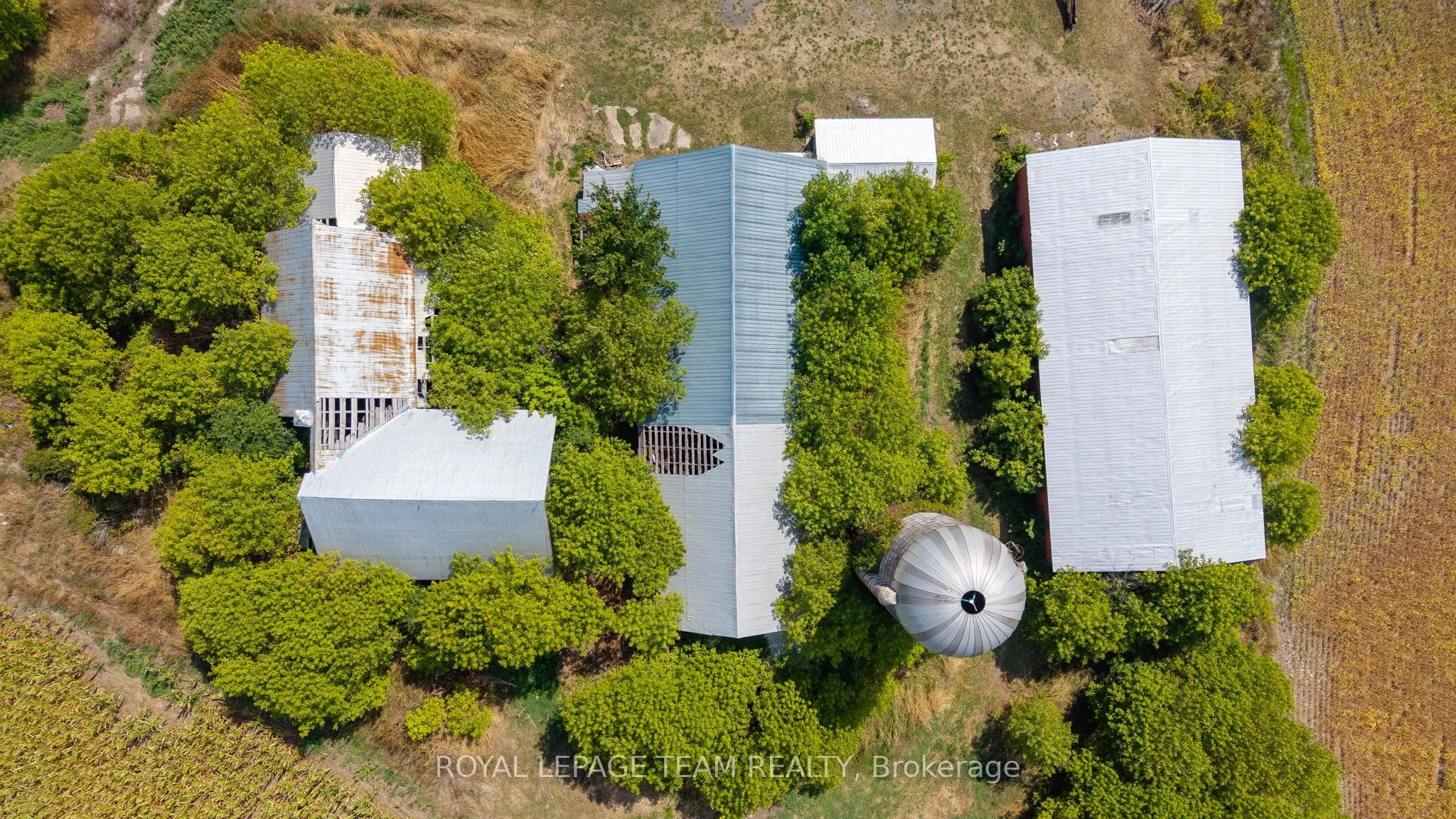 2307 Carsonby Road W