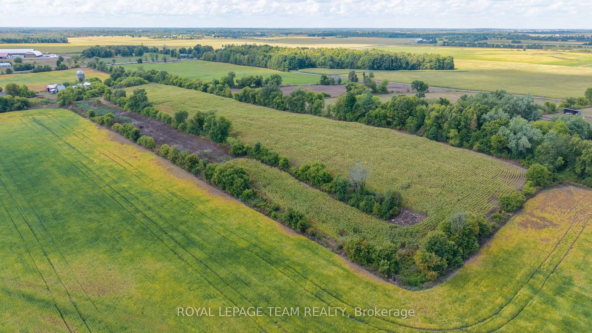 2307 Carsonby Road W