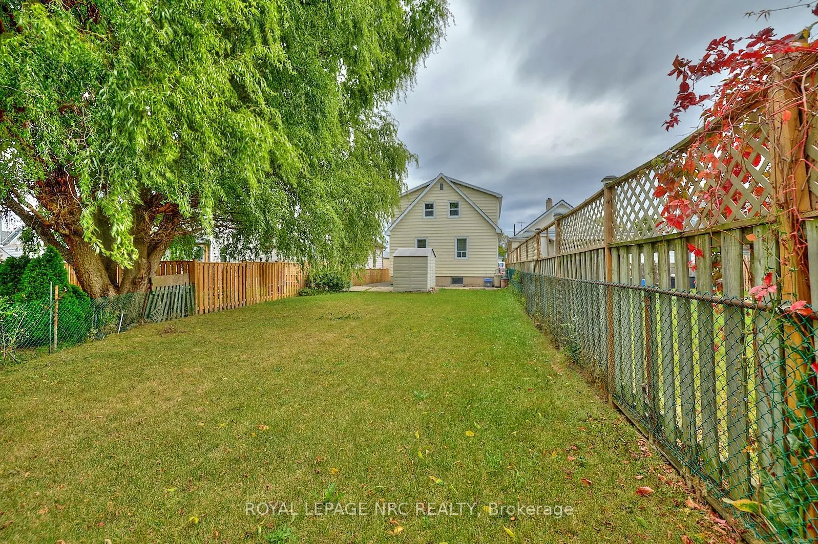 223 Niagara Street