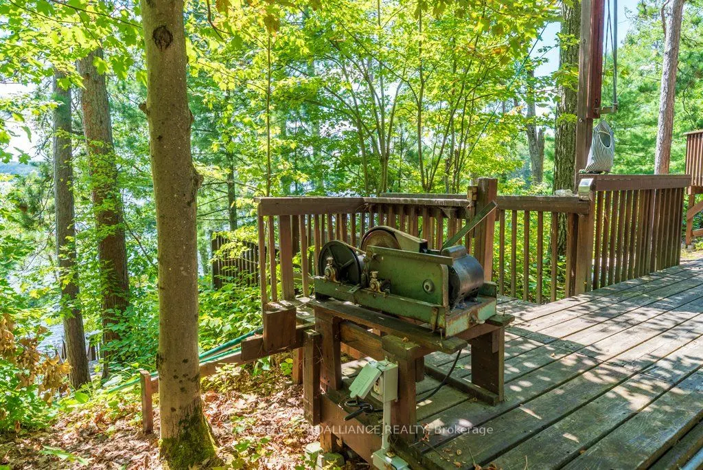 163 Mazinaw Lake