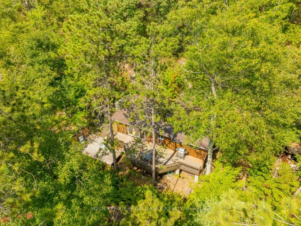 163 Mazinaw Lake