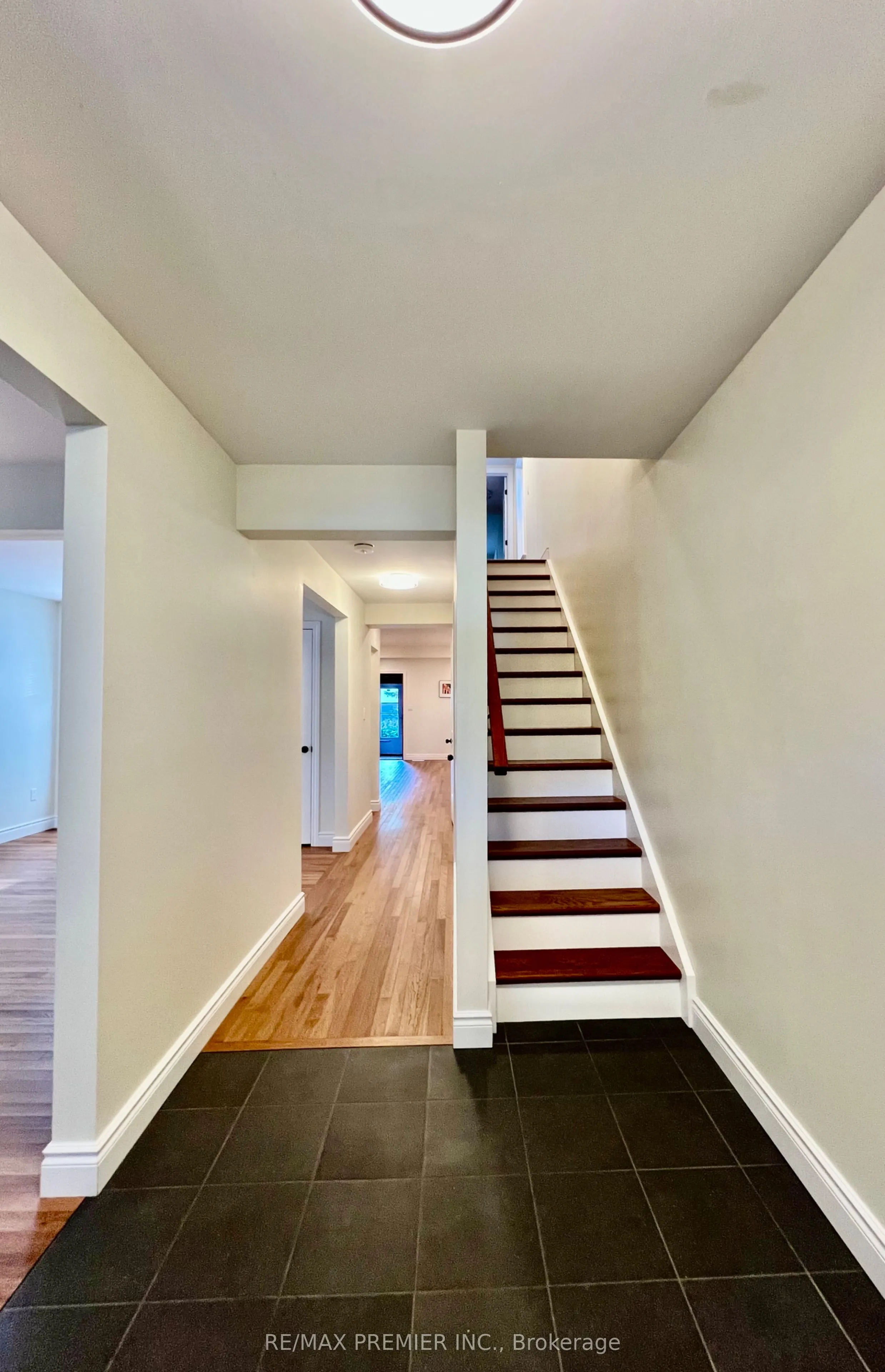 10 Patrick St
