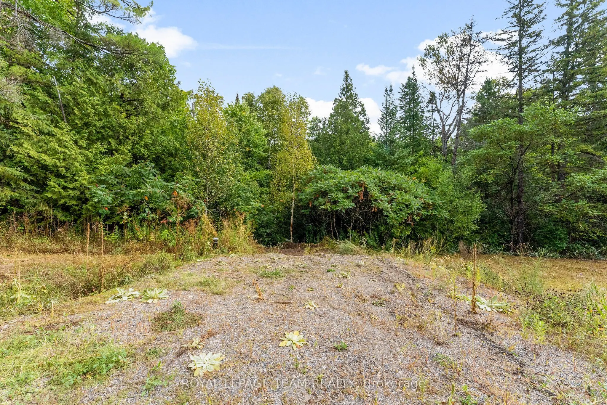 1412 French Line Road