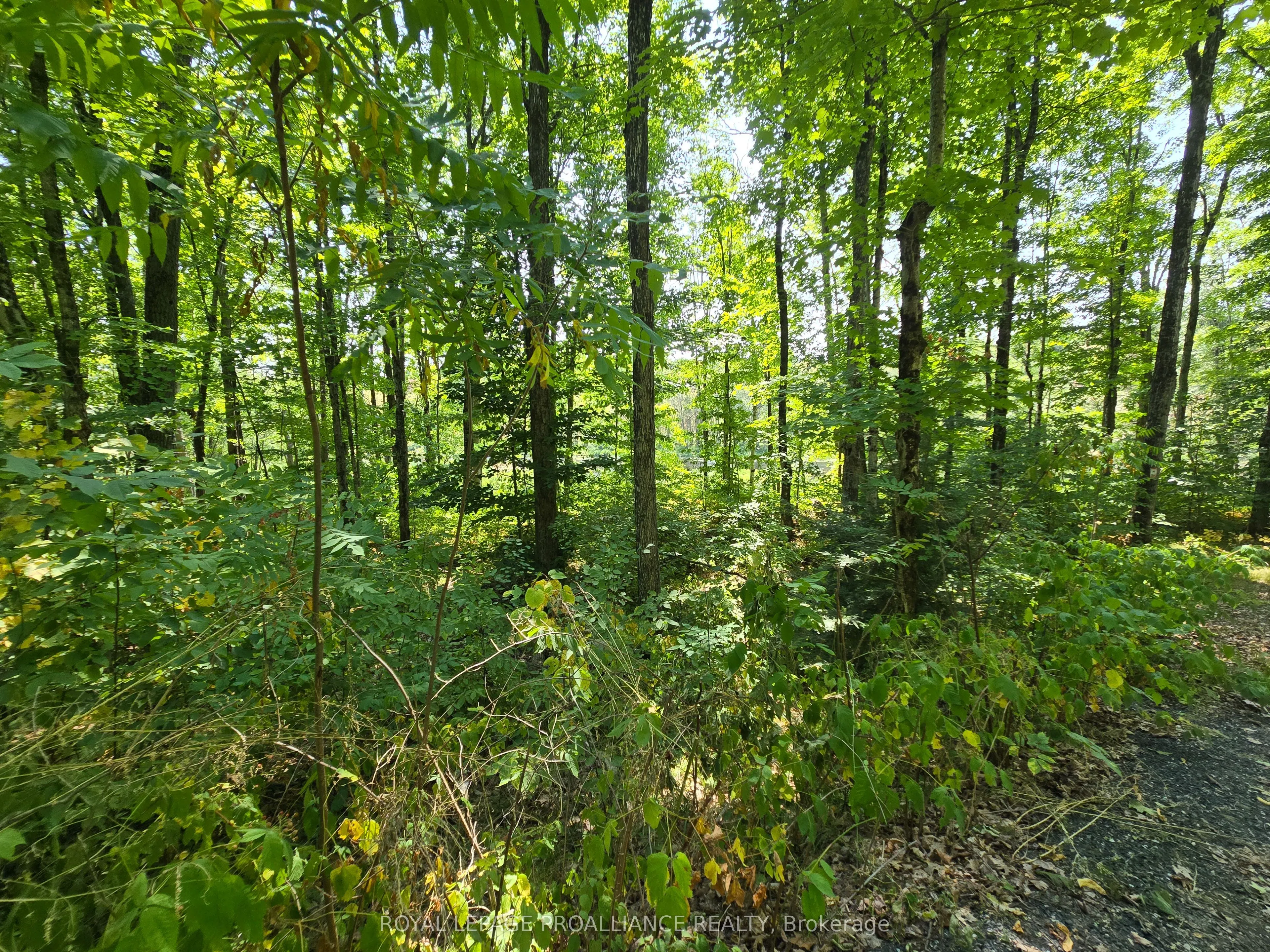 1255 Blue Heron Ridge