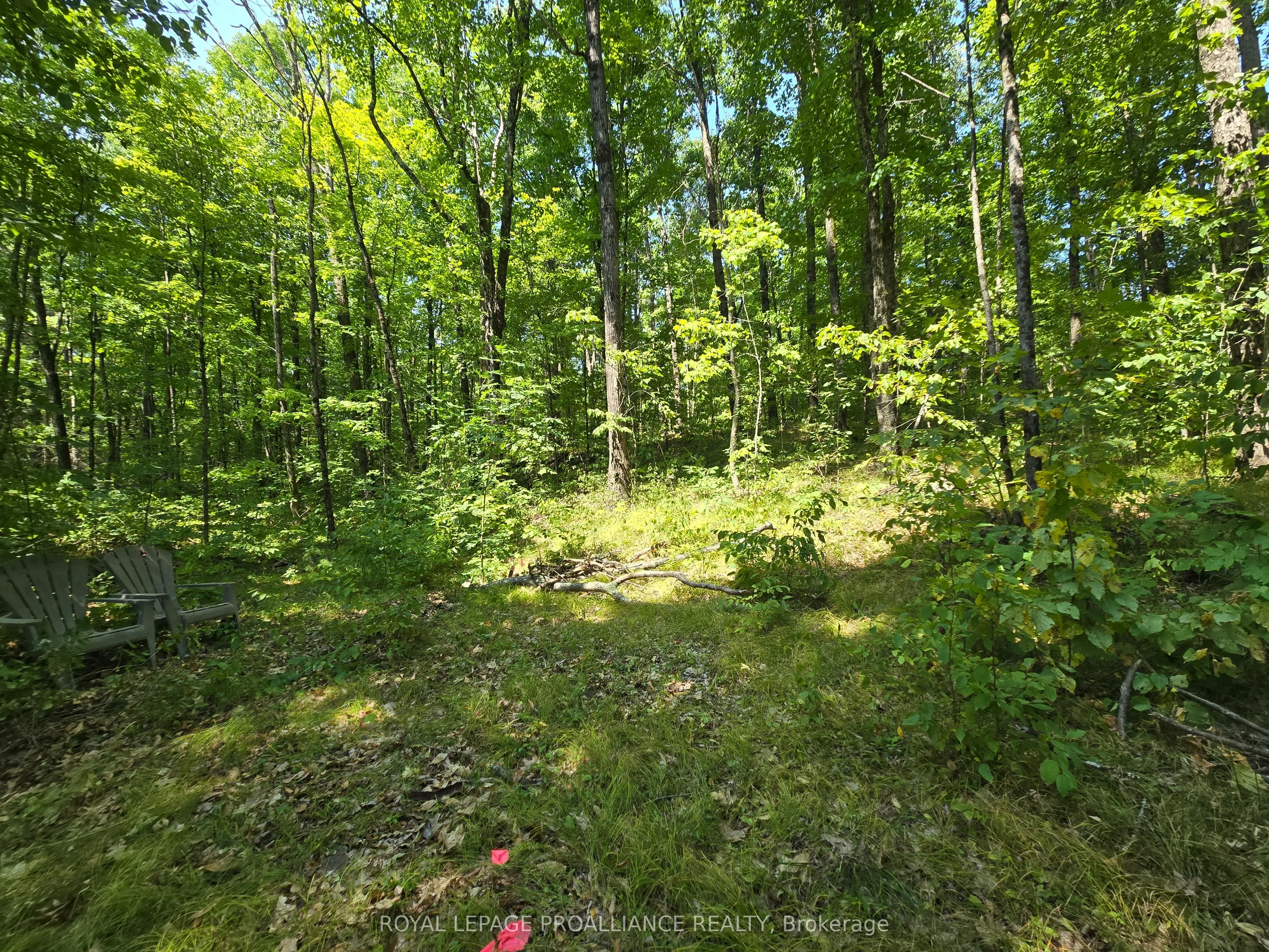 1255 Blue Heron Ridge