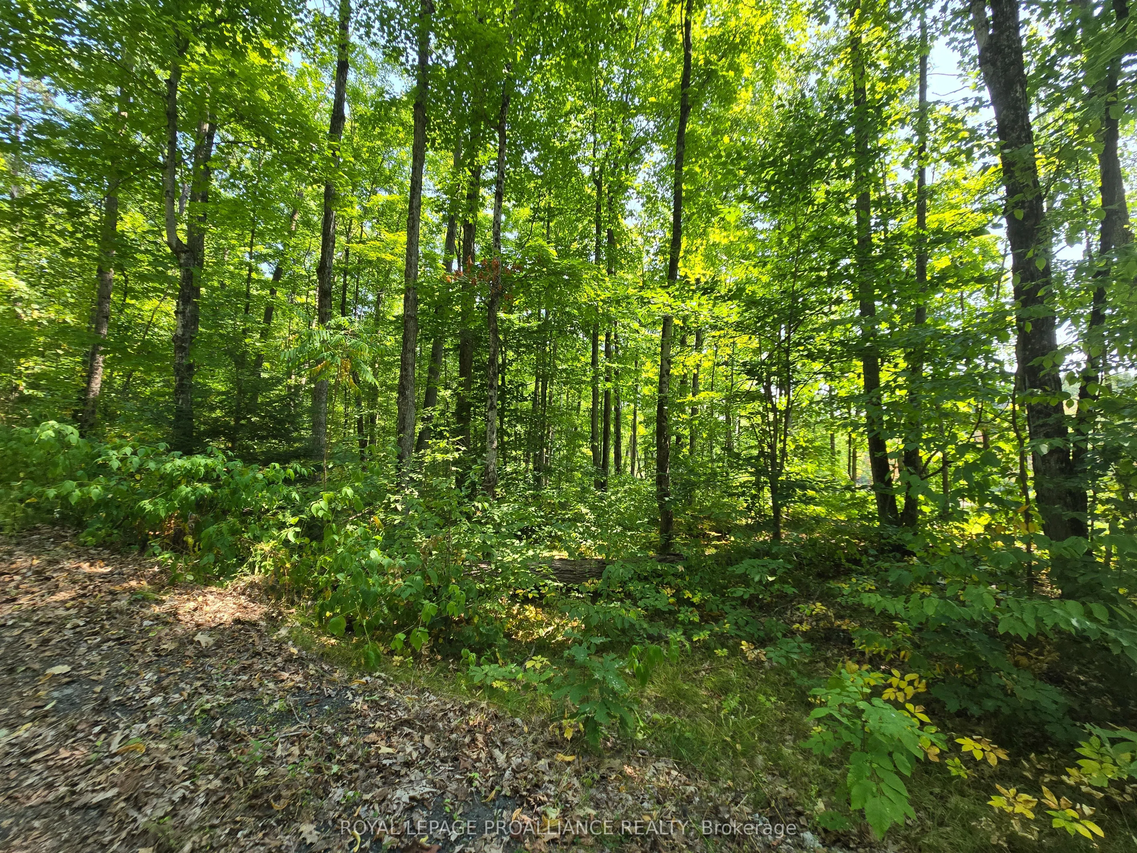 1255 Blue Heron Ridge