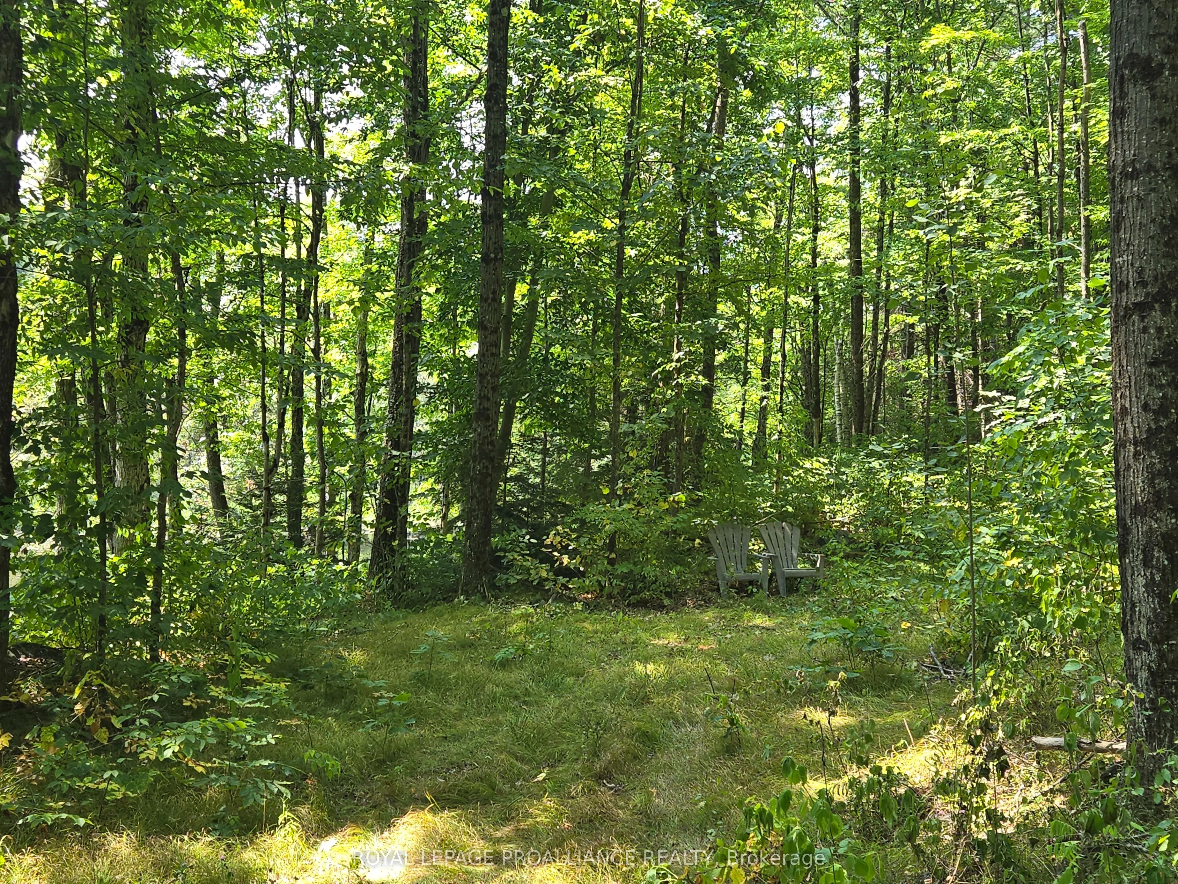 1255 Blue Heron Ridge
