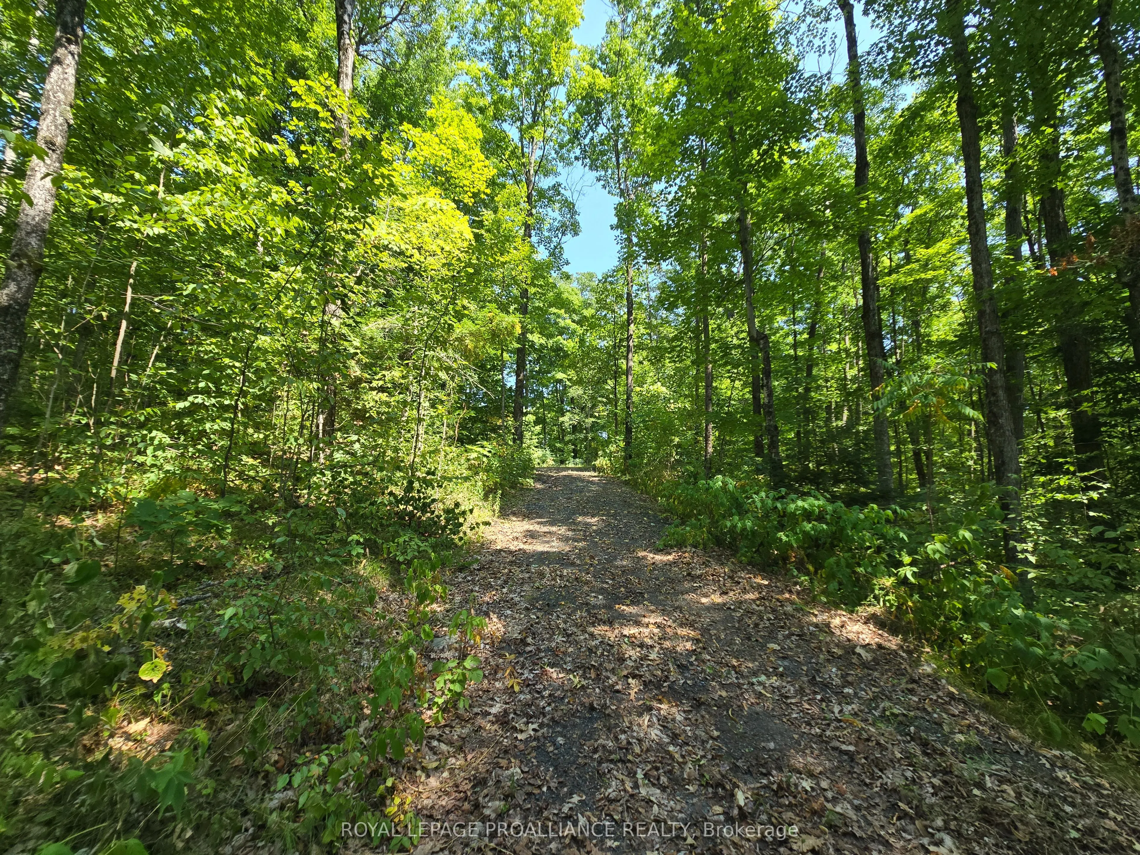 1255 Blue Heron Ridge