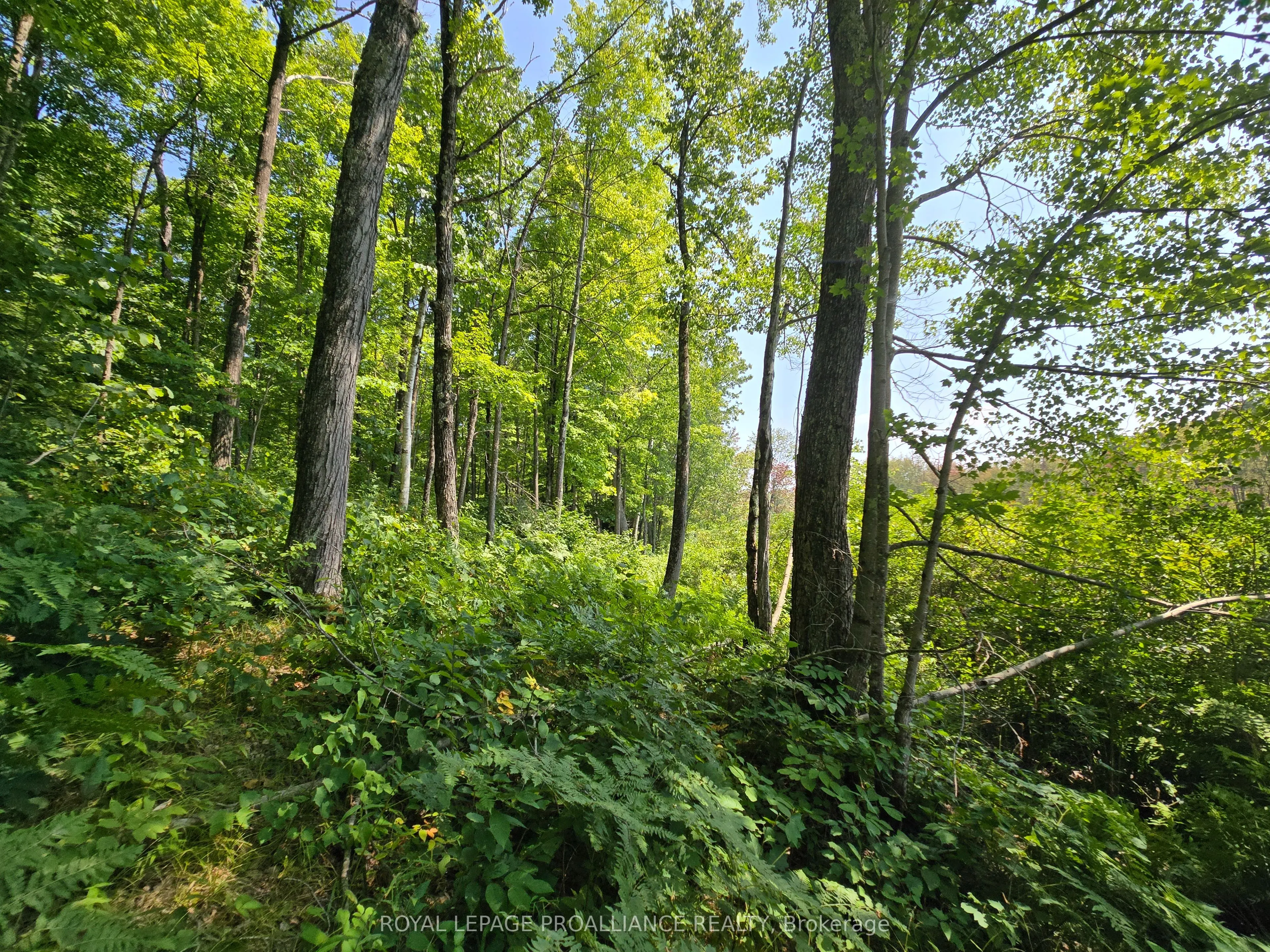 1255 Blue Heron Ridge