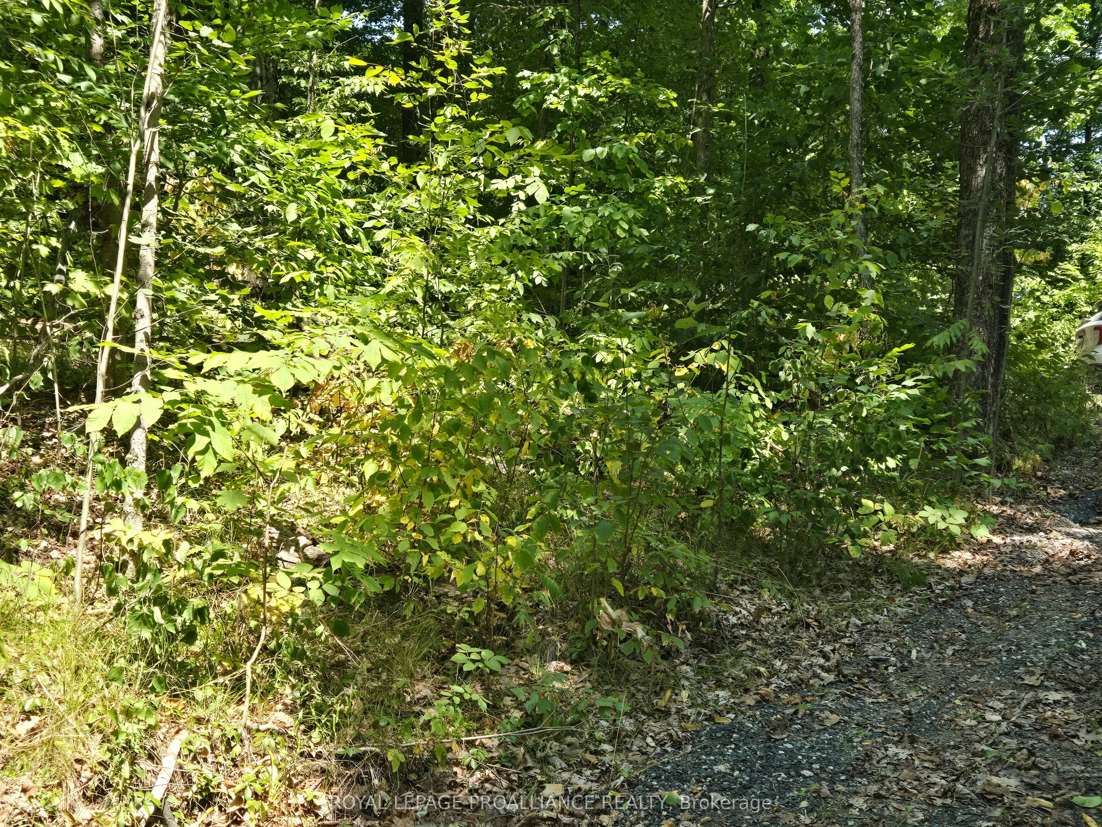 1255 Blue Heron Ridge