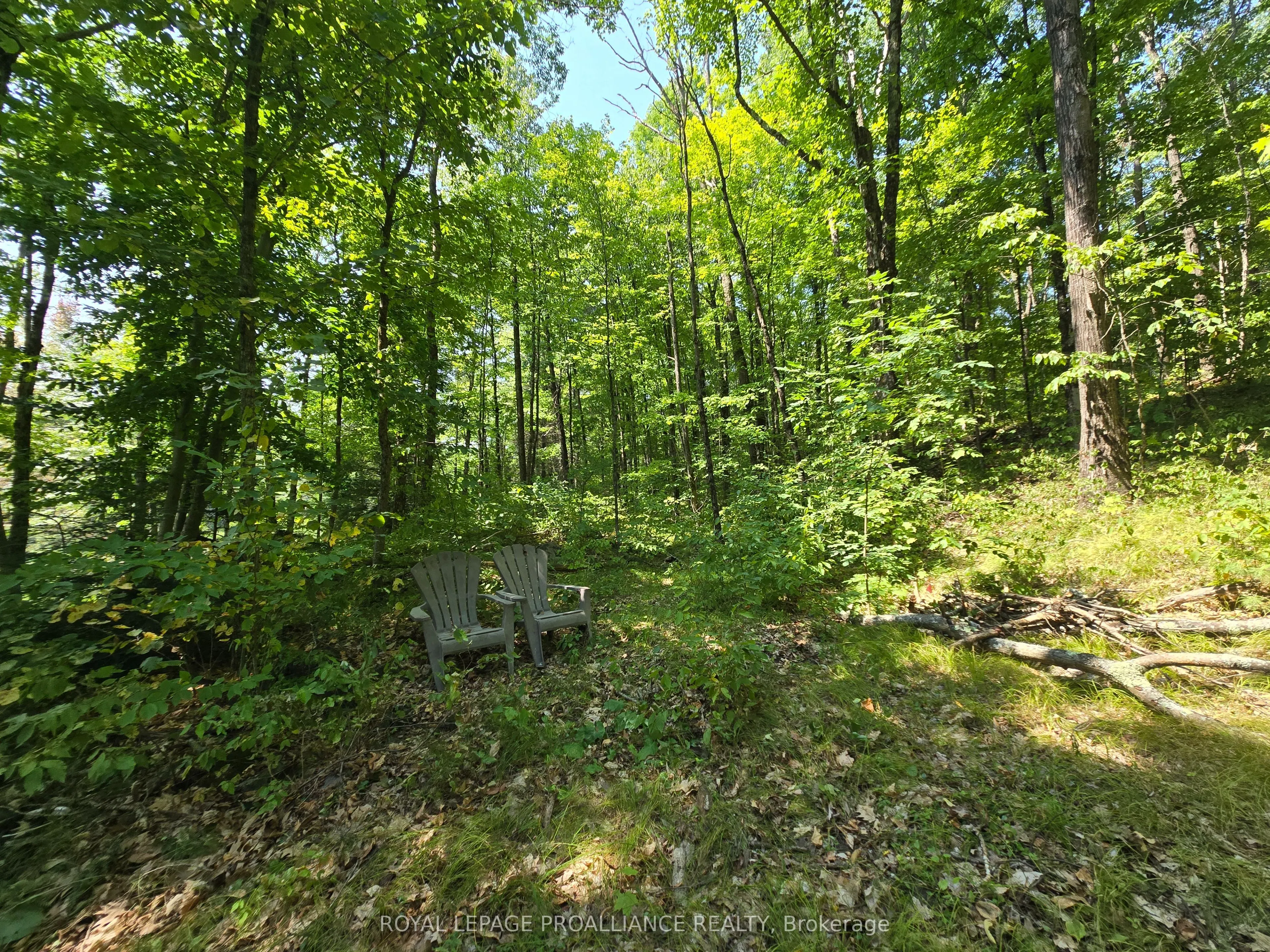 1255 Blue Heron Ridge