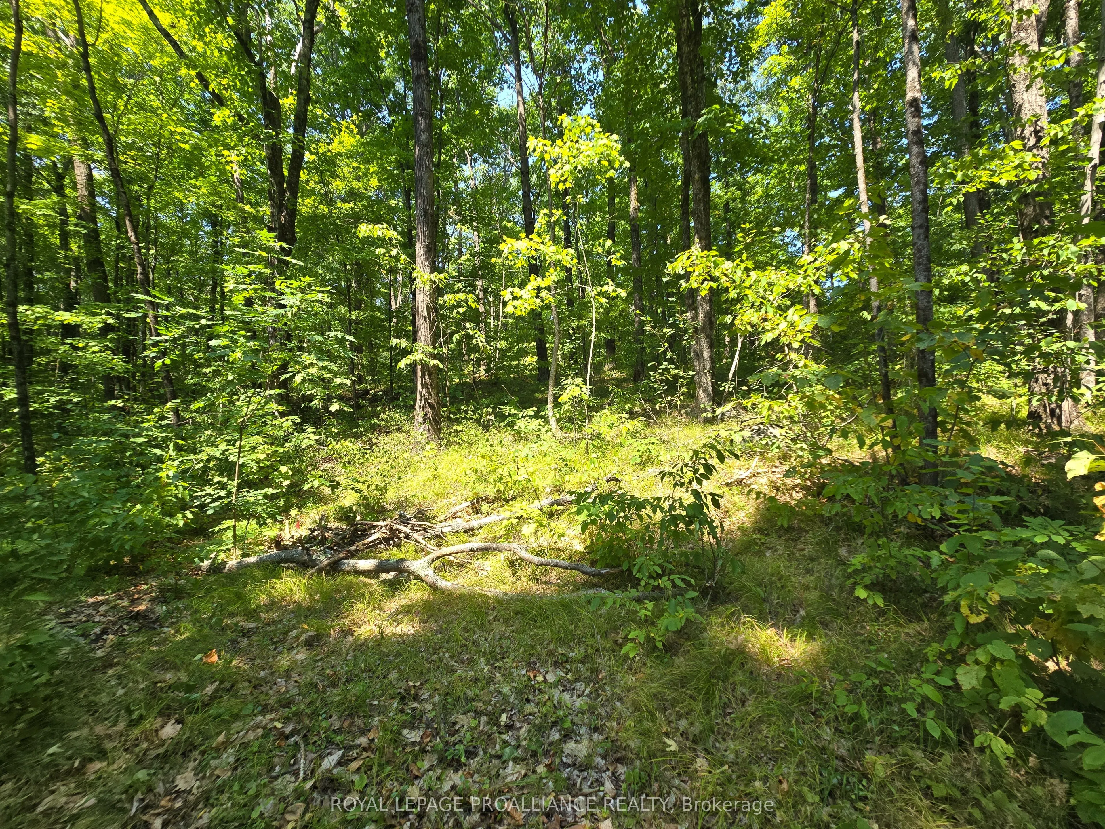 1255 Blue Heron Ridge