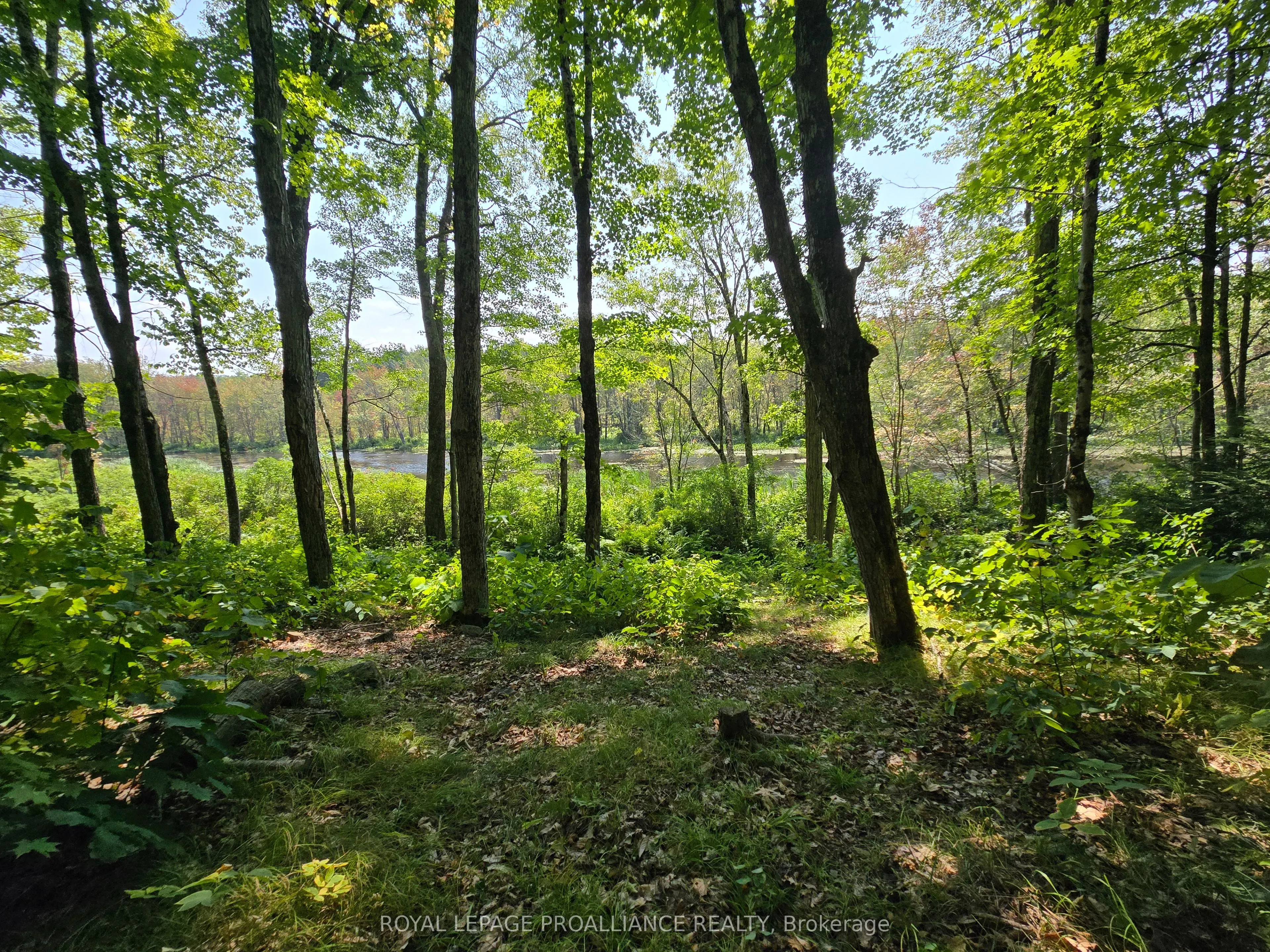 1255 Blue Heron Ridge