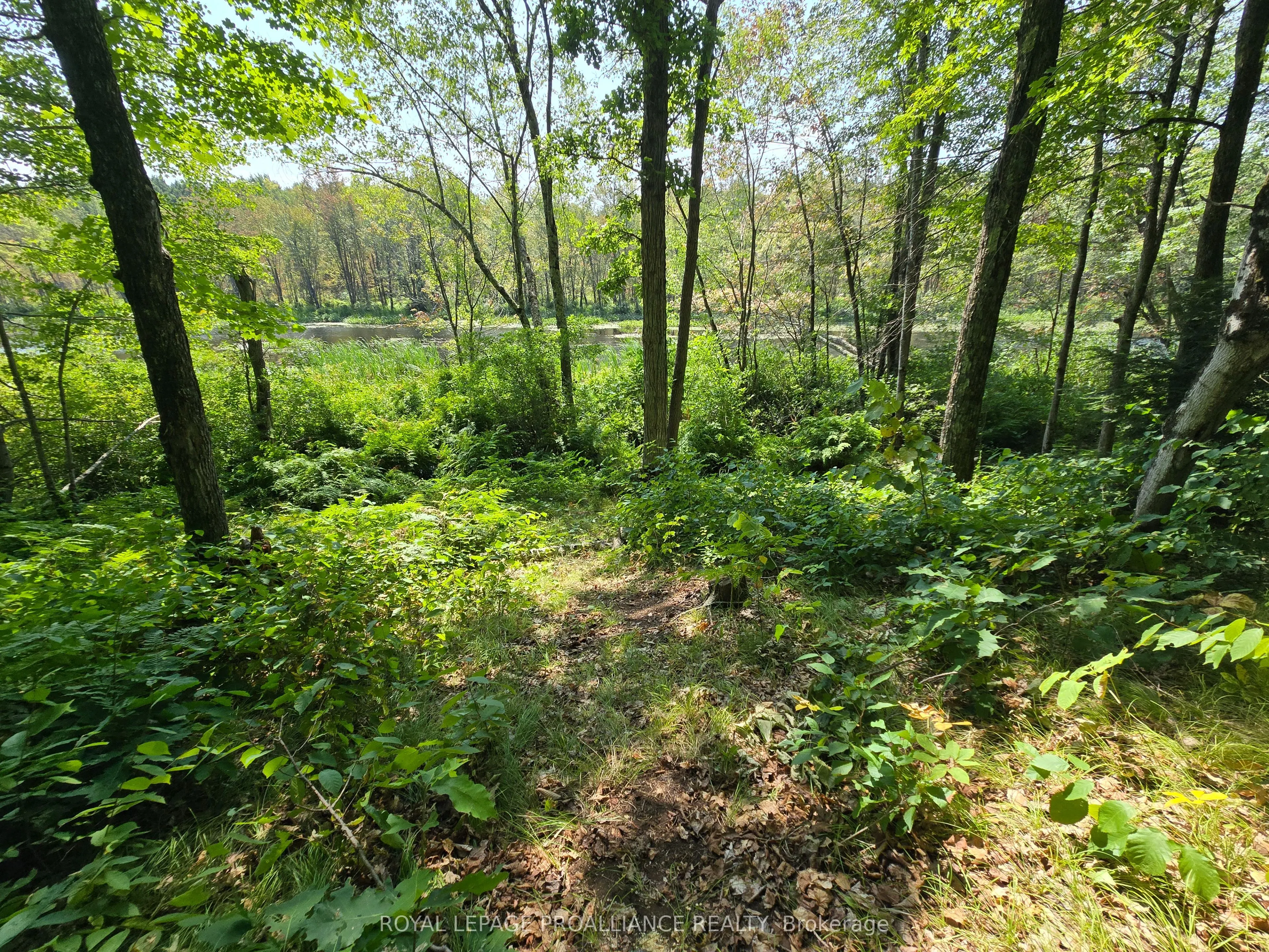 1255 Blue Heron Ridge