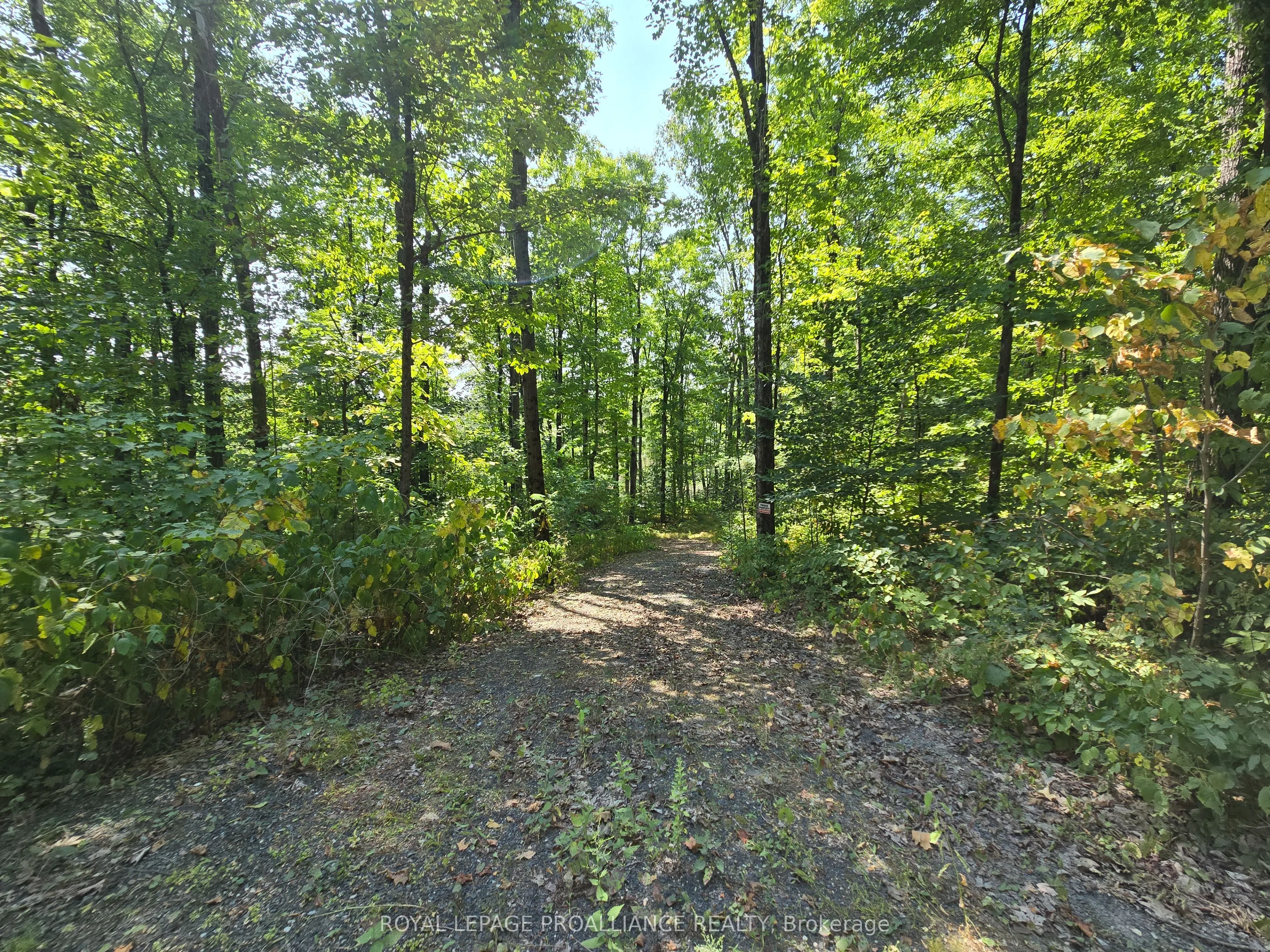 1255 Blue Heron Ridge