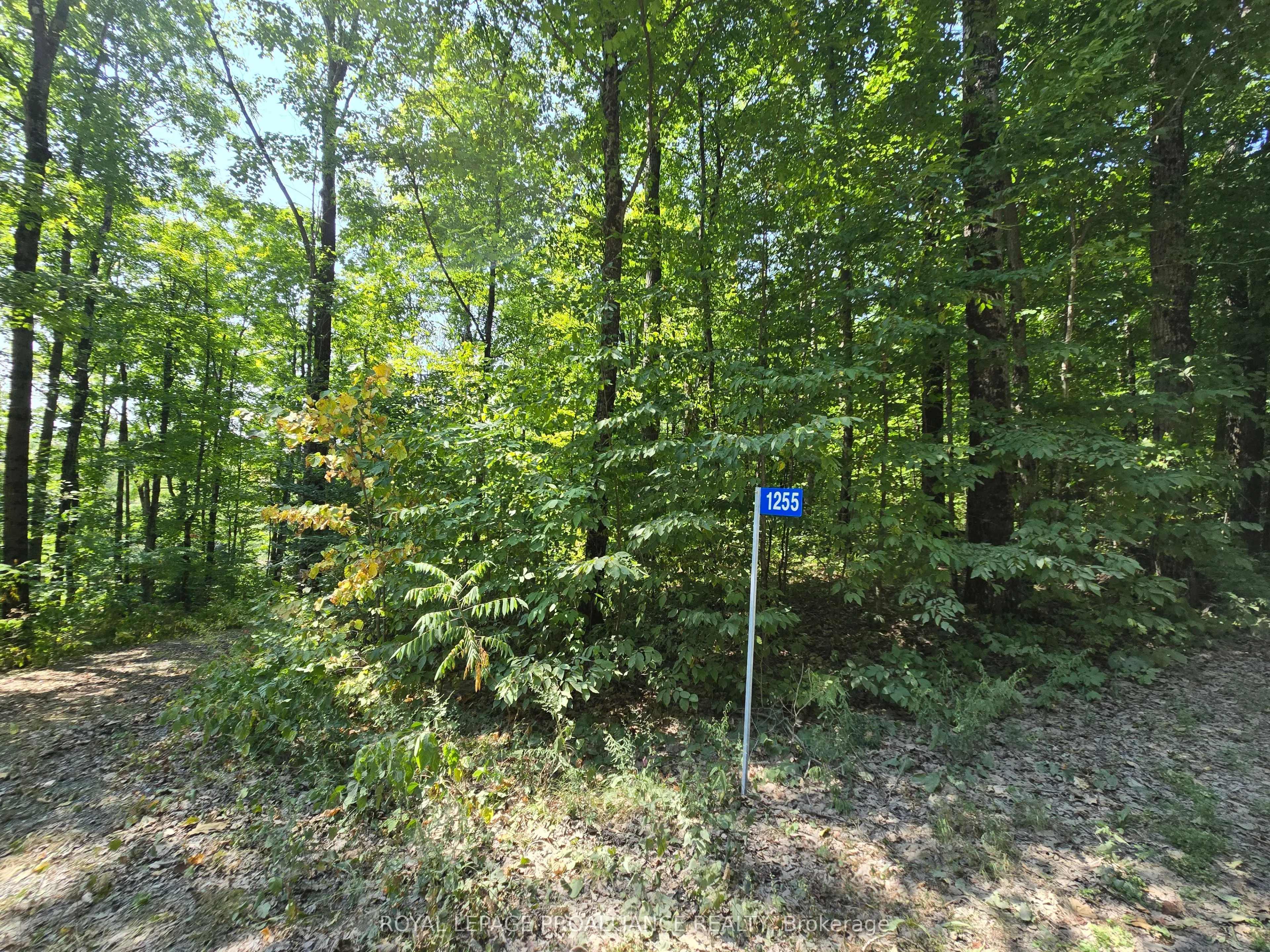 1255 Blue Heron Ridge Ridge
