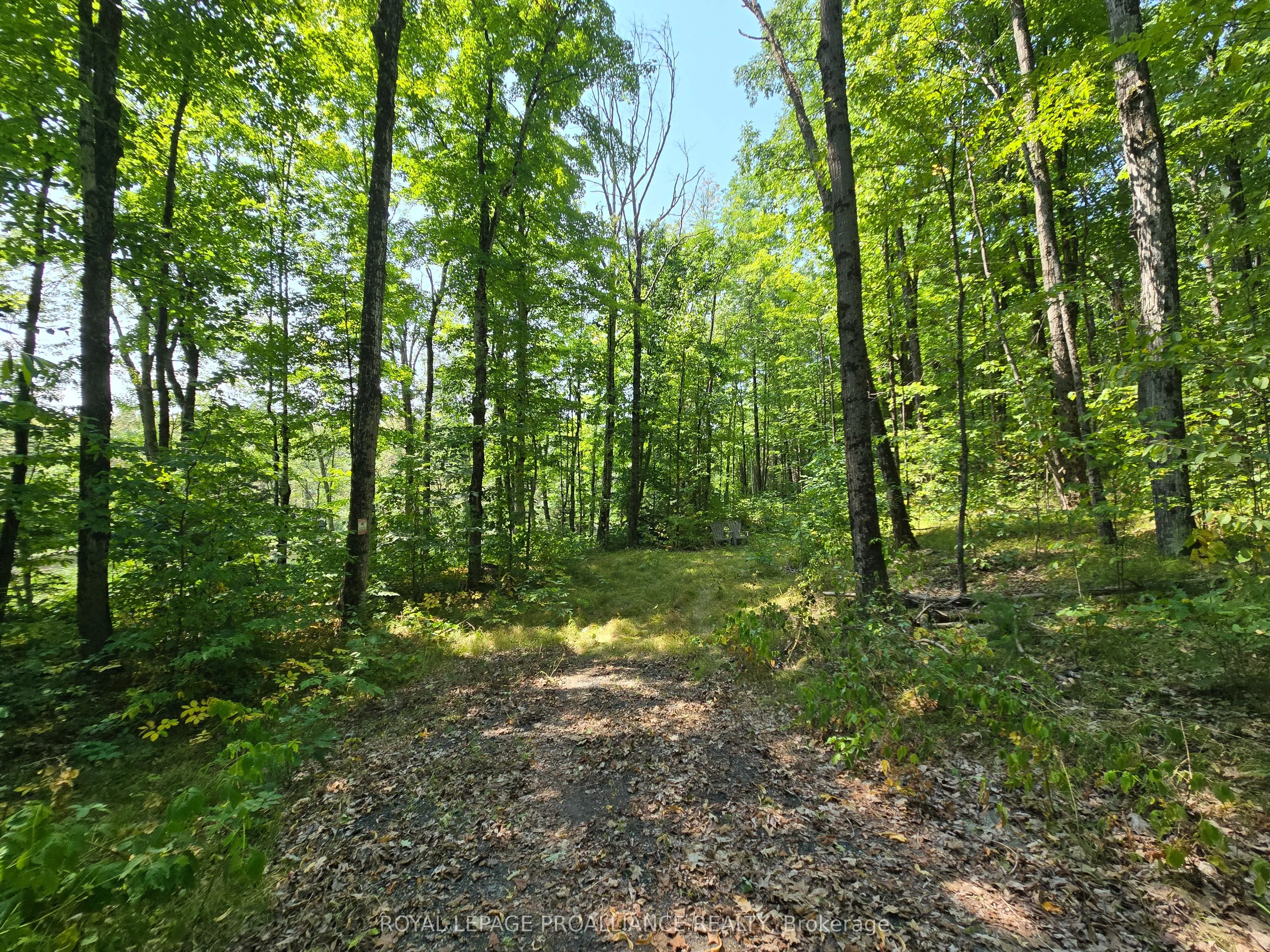 1255 Blue Heron Ridge