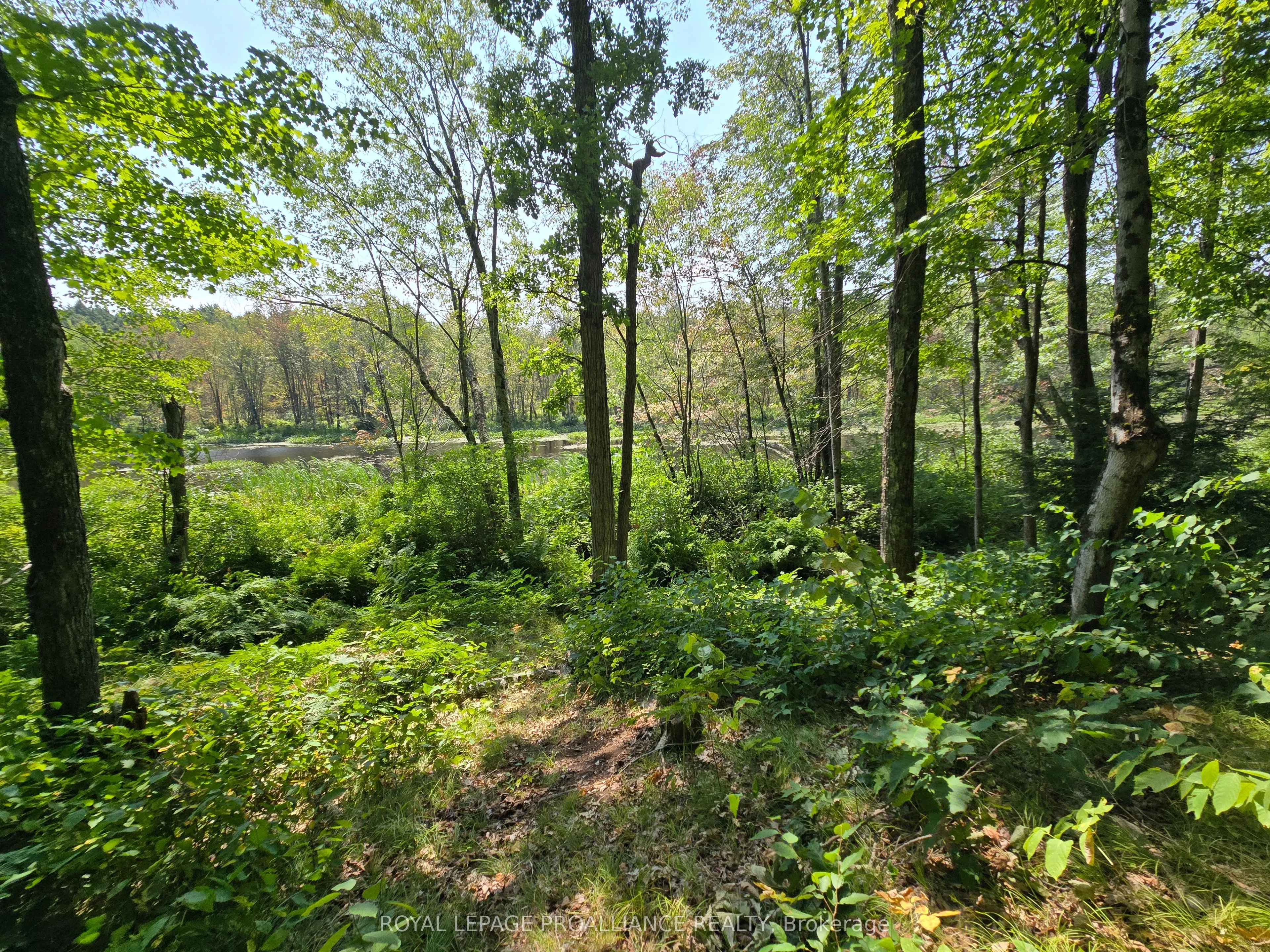 1255 Blue Heron Ridge
