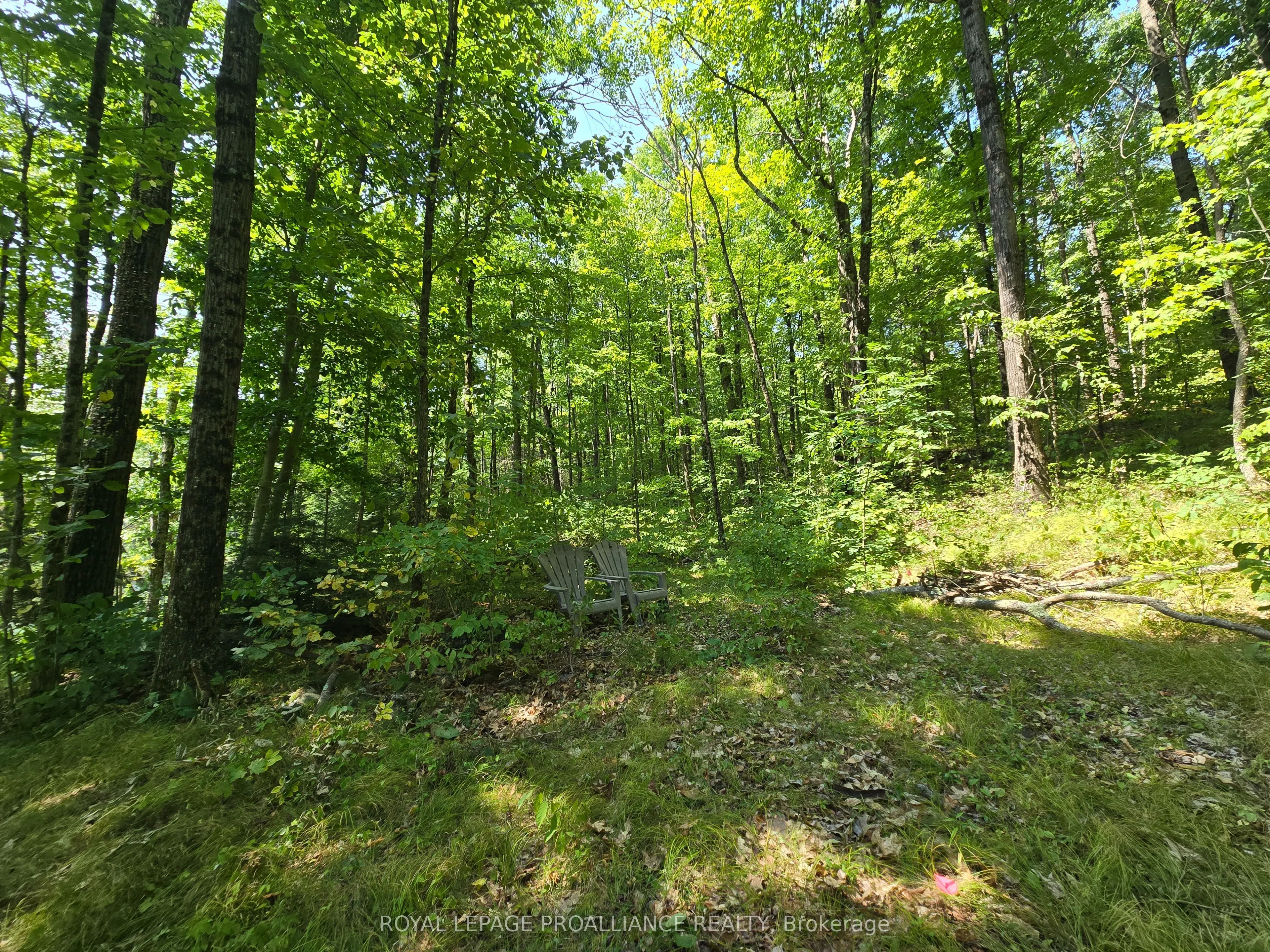 1255 Blue Heron Ridge