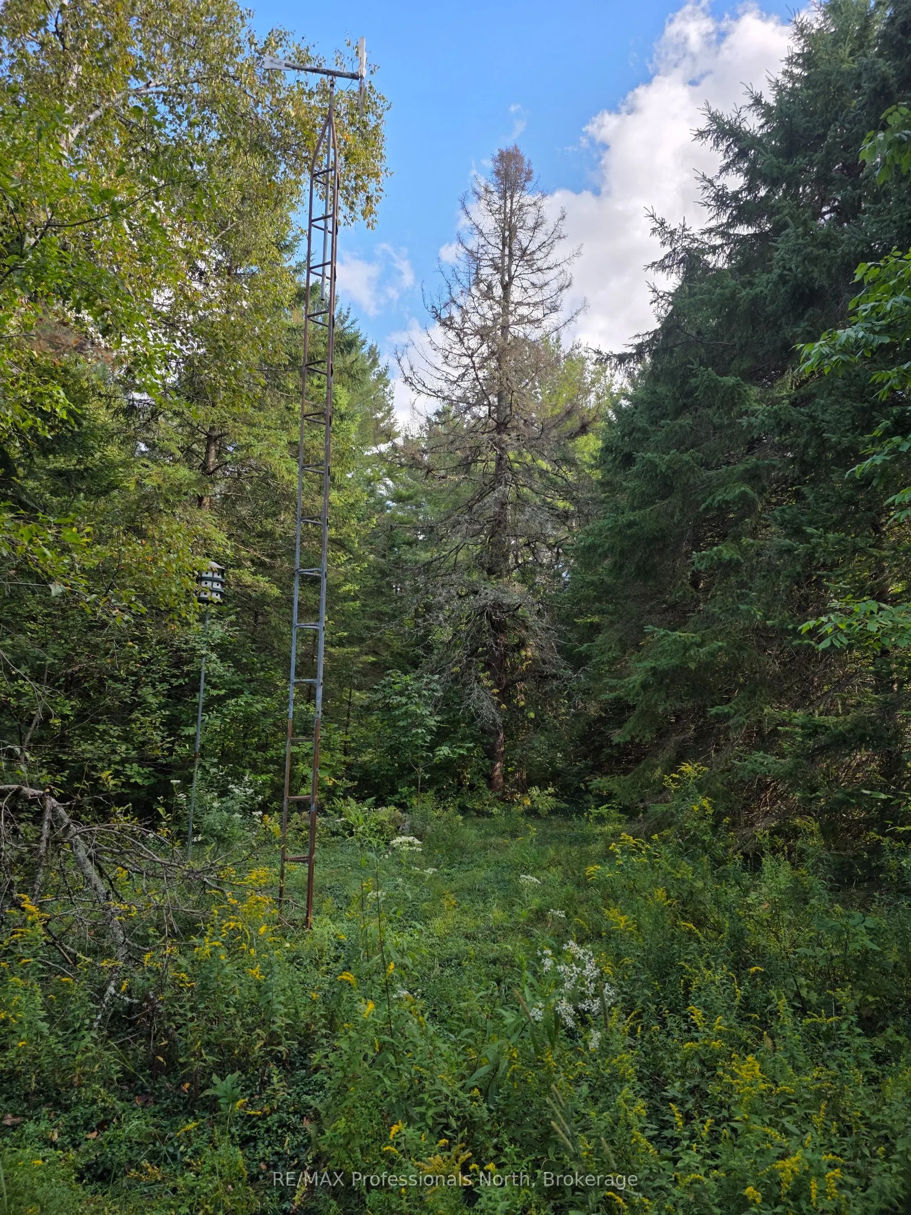 671 Lynx Lake Road