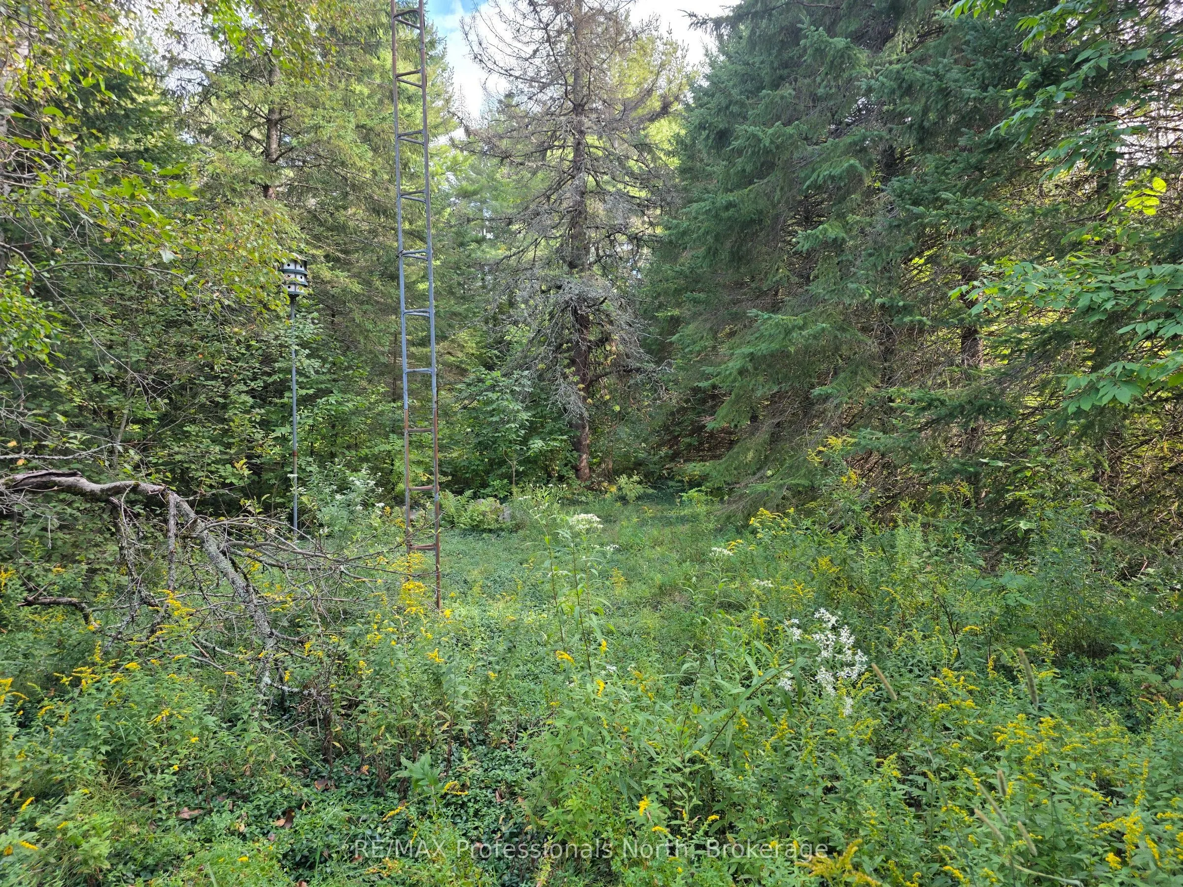 671 Lynx Lake Road