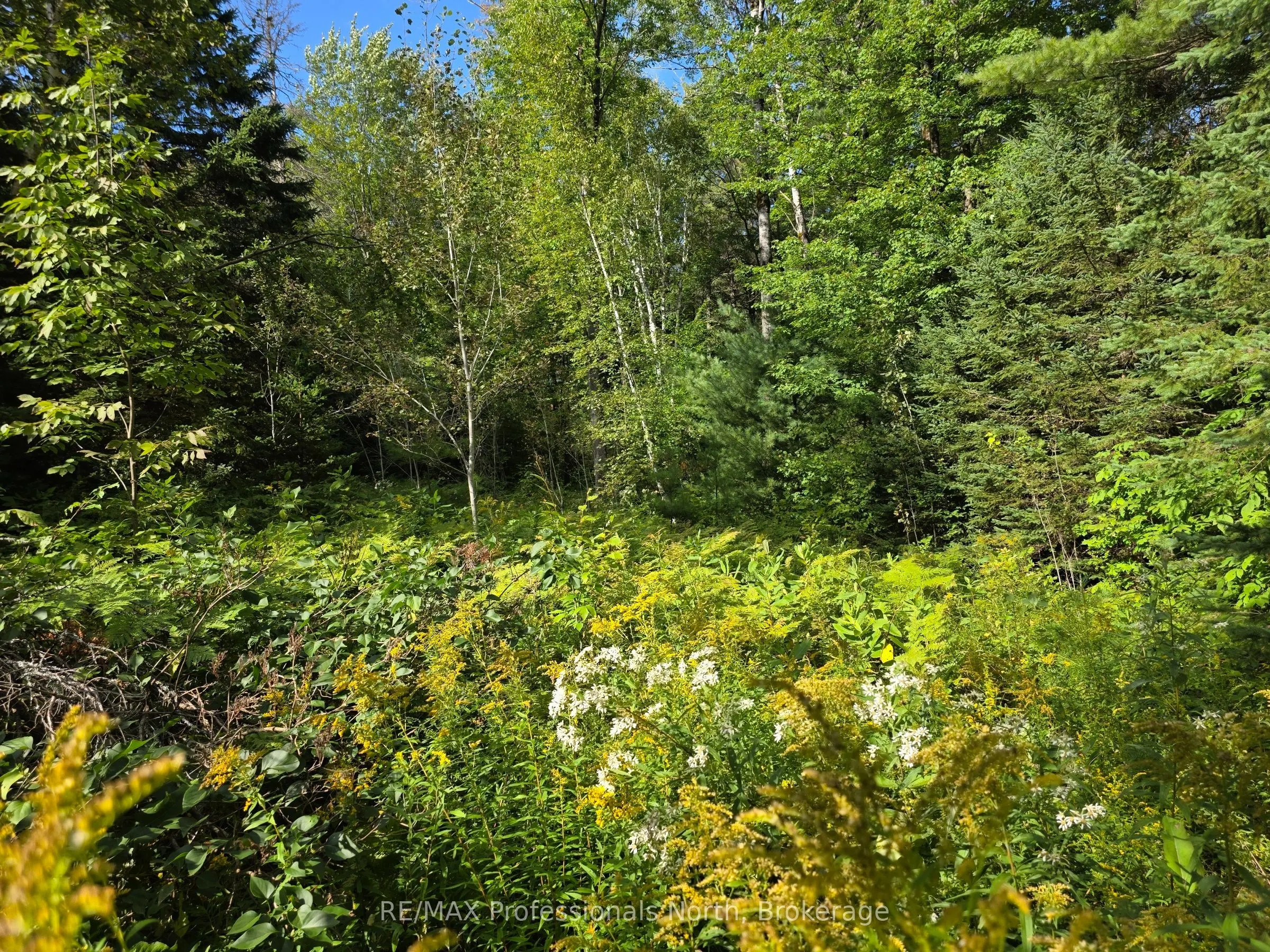 671 Lynx Lake Road