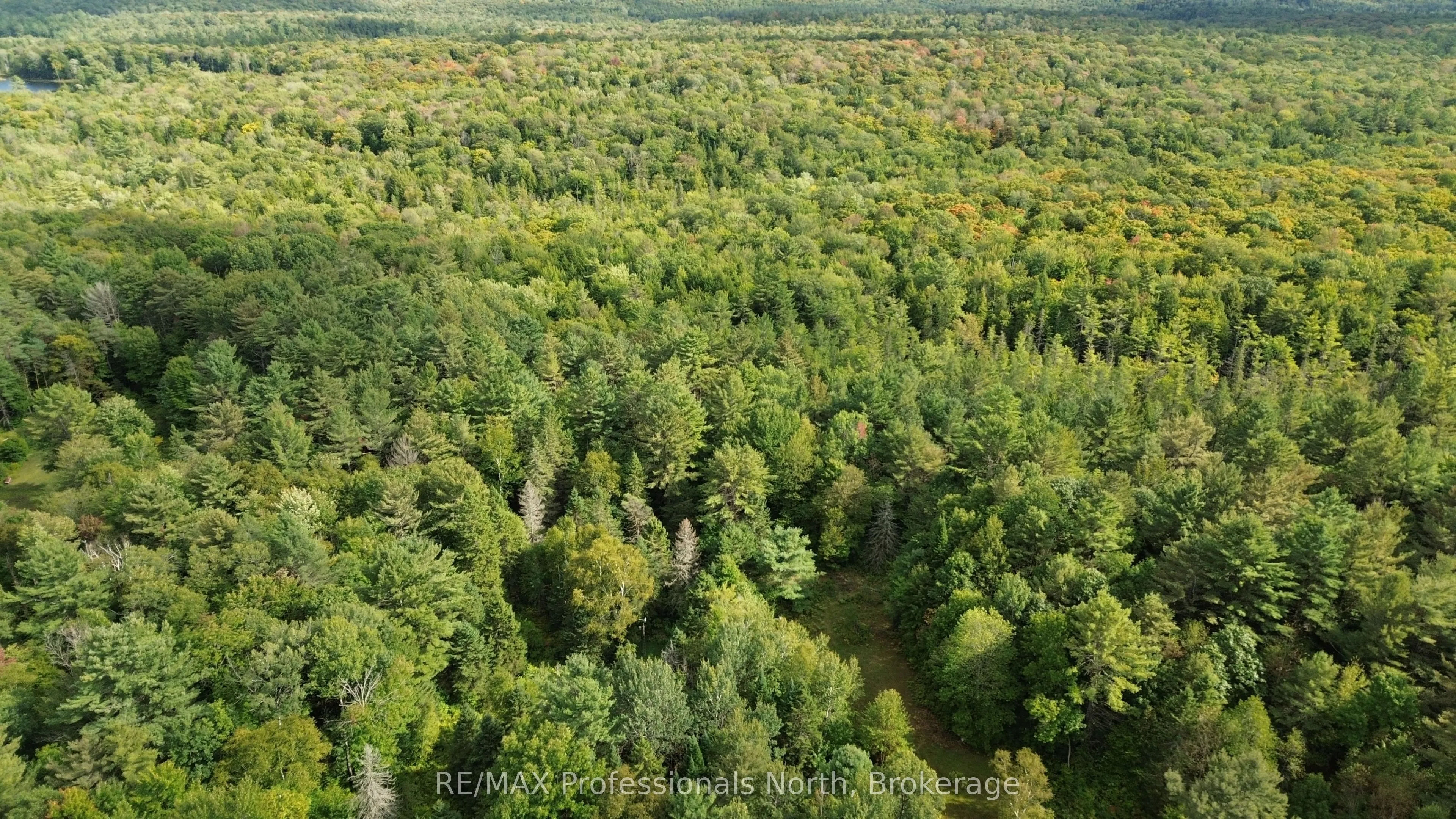 671 Lynx Lake Road