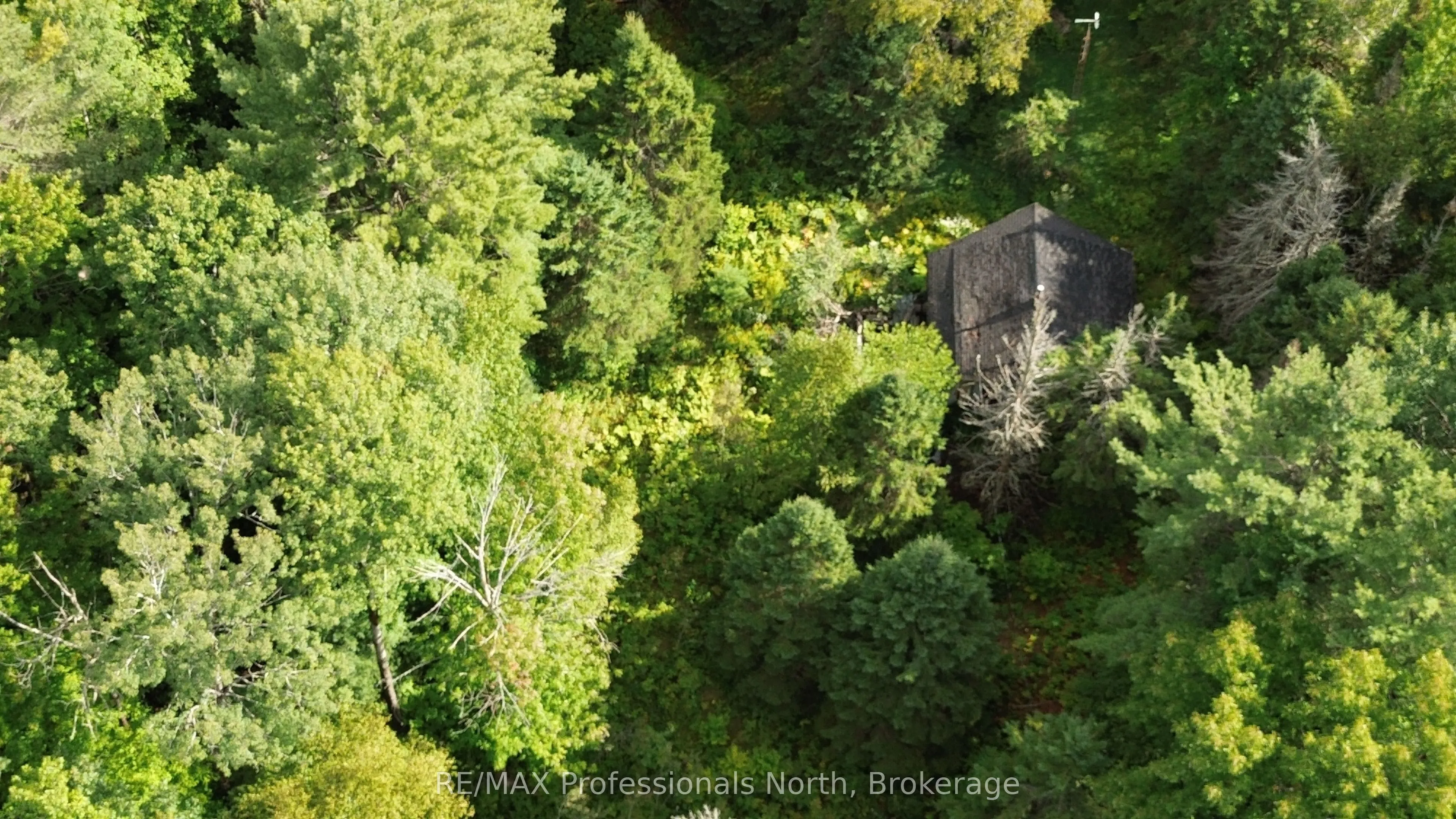 671 Lynx Lake Road