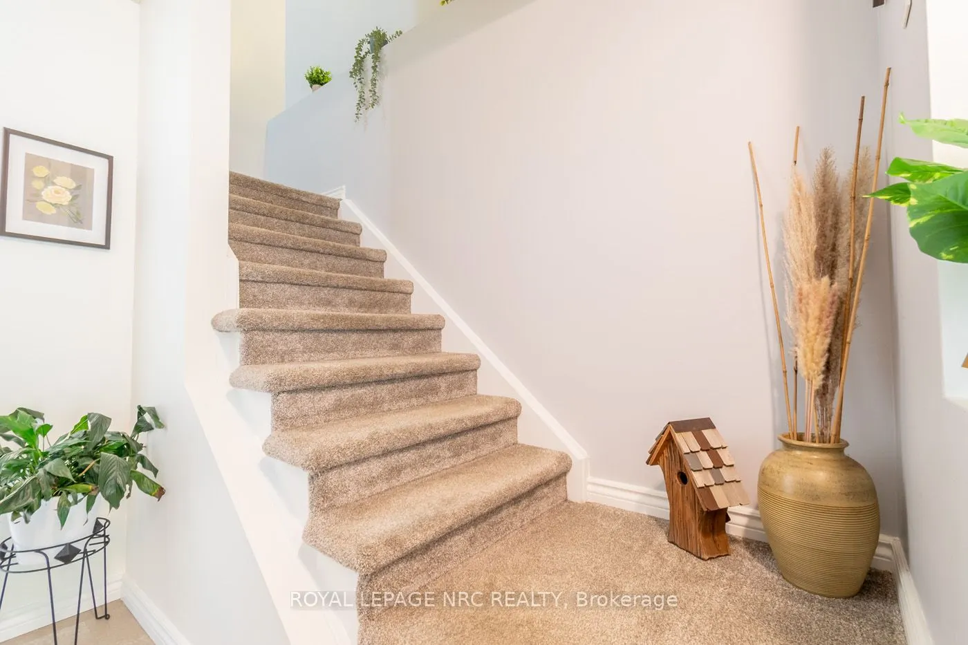 74 Meredith Drive